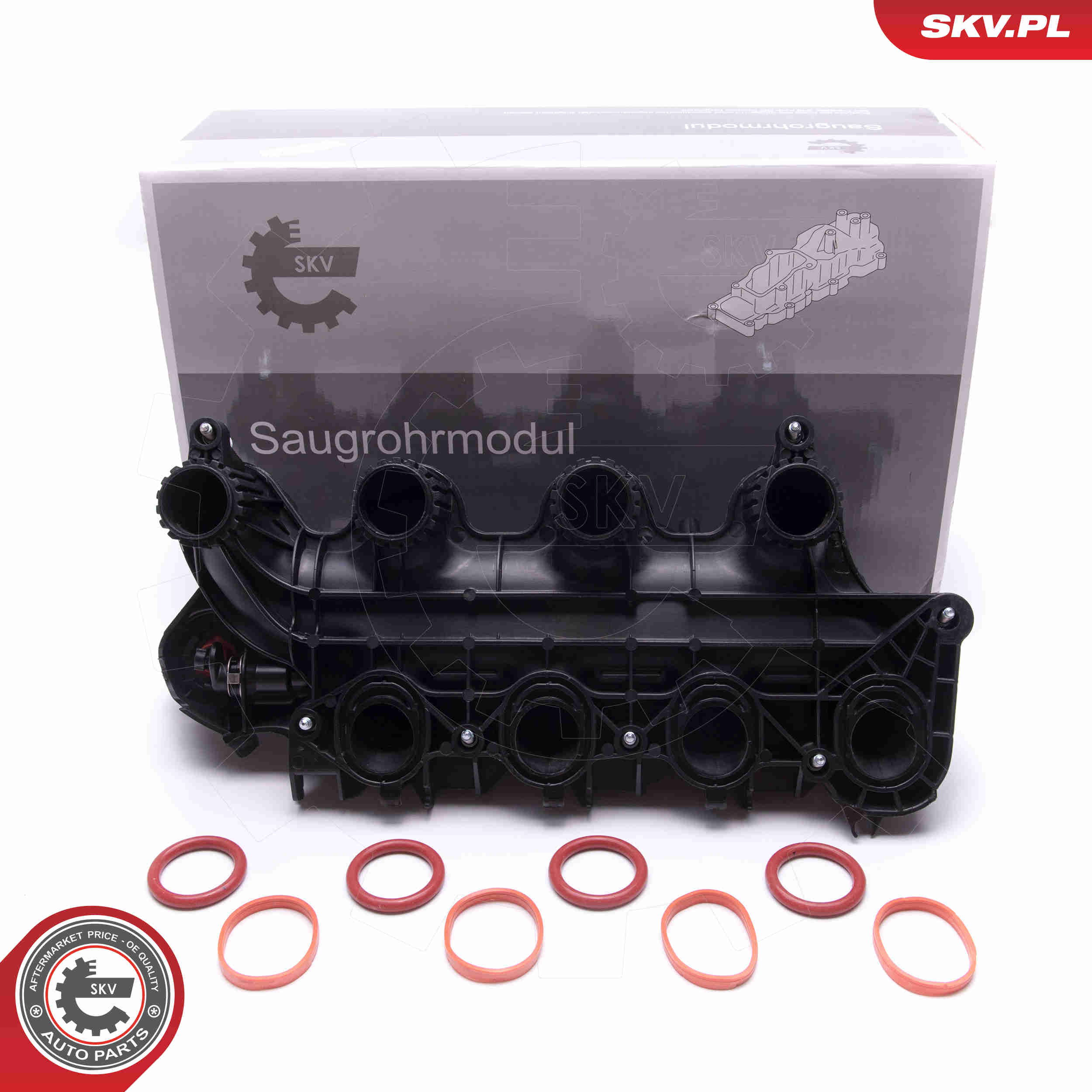 Intake Manifold Module - 49SKV065 ESEN SKV