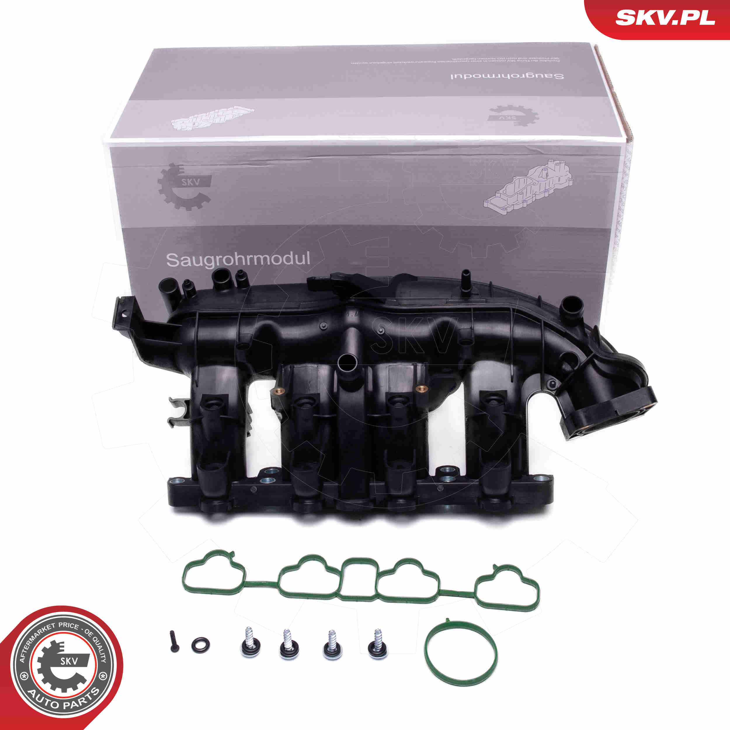 Intake Manifold Module - 49SKV076 ESEN SKV