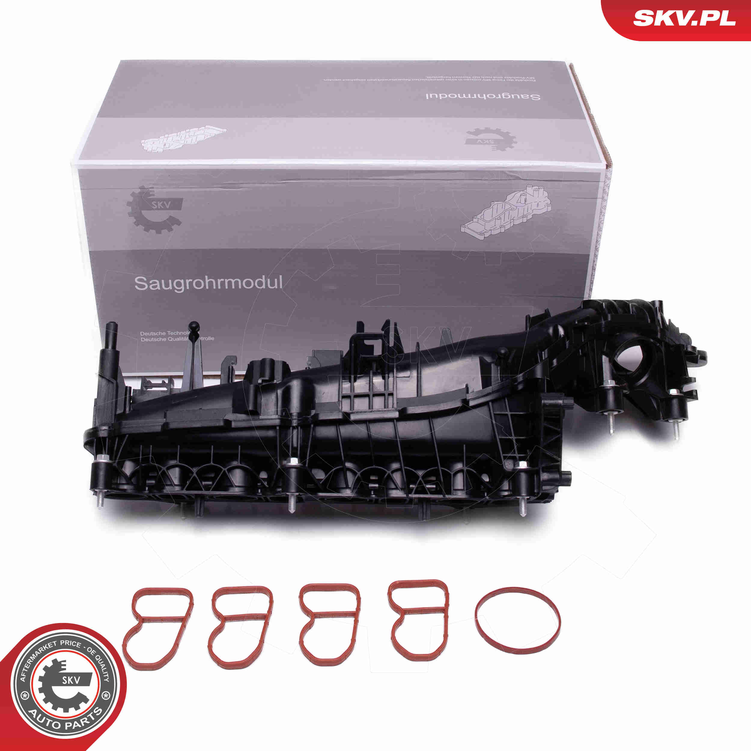 Intake Manifold Module - 49SKV078 ESEN SKV