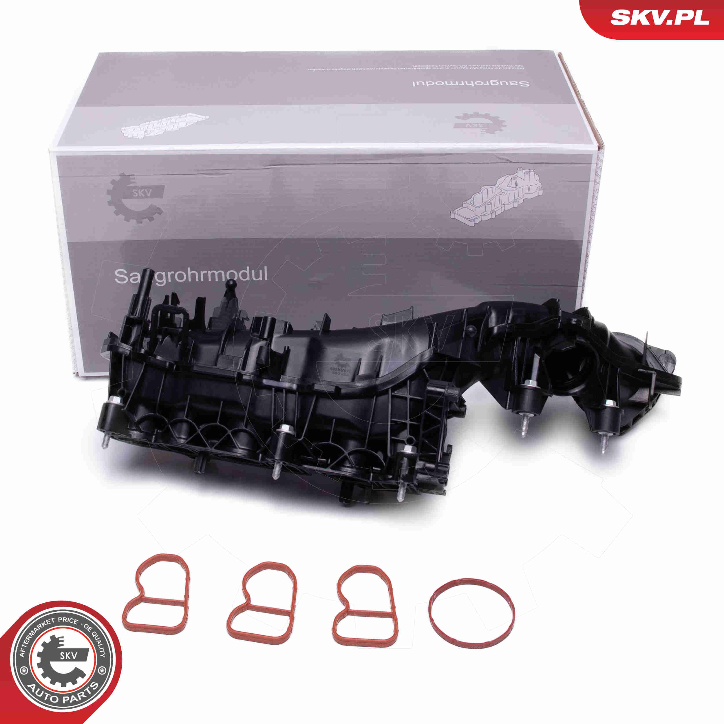 Intake Manifold Module - 49SKV079 ESEN SKV