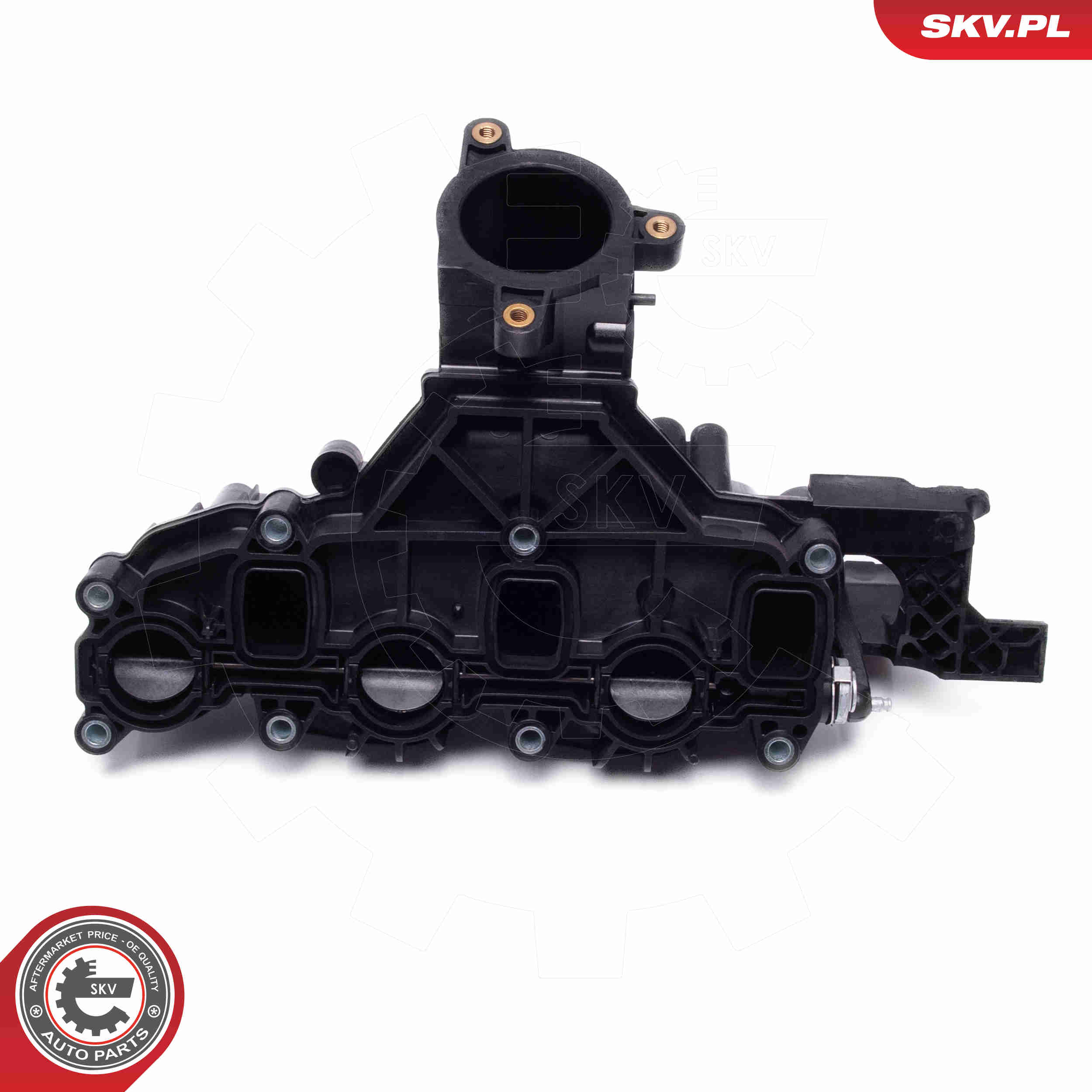 Intake Manifold Module - 49SKV080 ESEN SKV