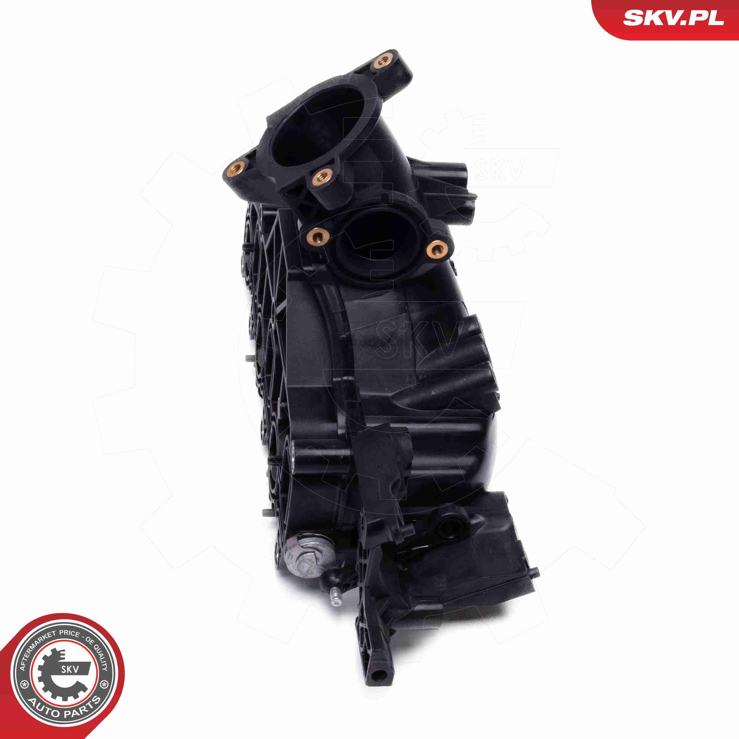 Intake Manifold Module - 49SKV080 ESEN SKV
