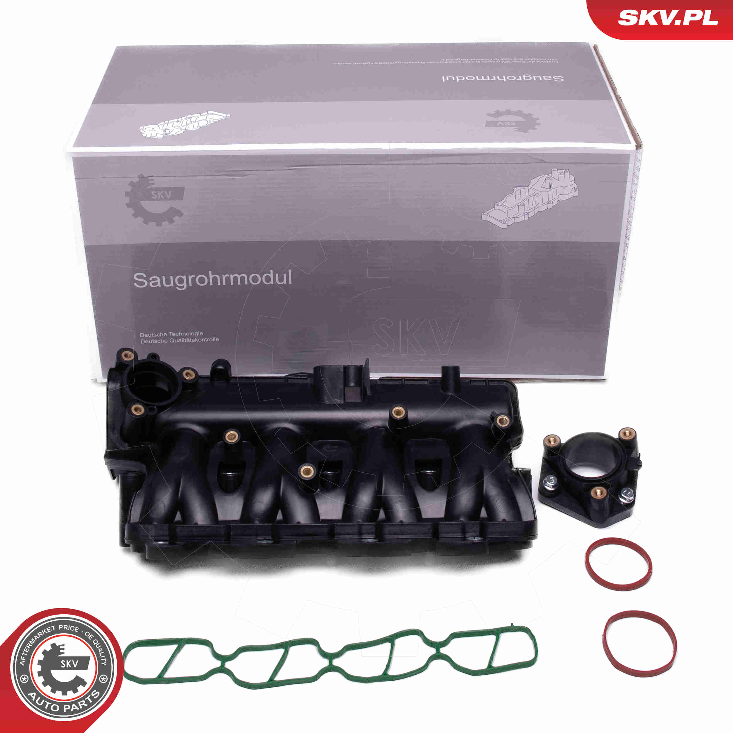 Intake Manifold Module - 49SKV081 ESEN SKV