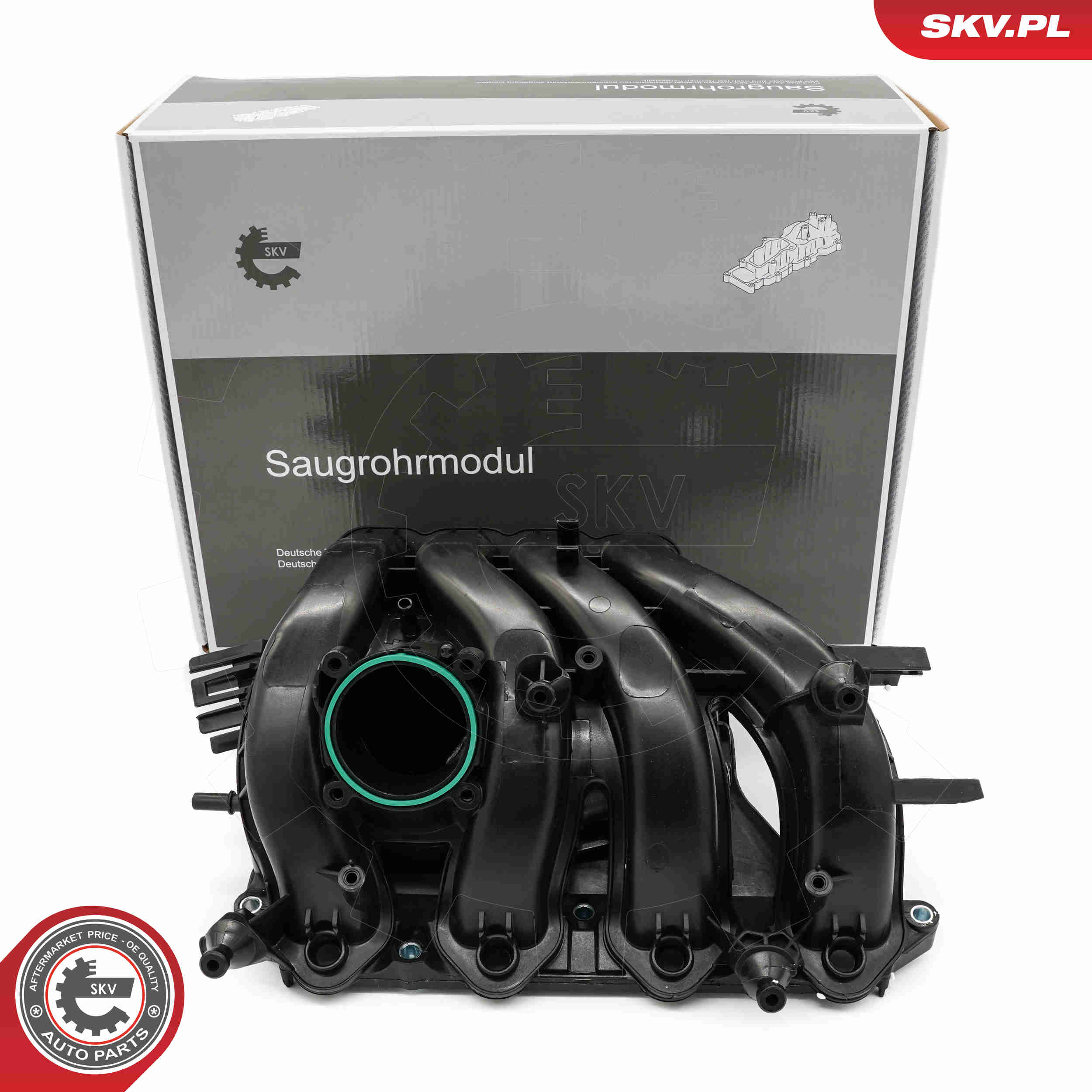 Intake Manifold Module - 49SKV087 ESEN SKV