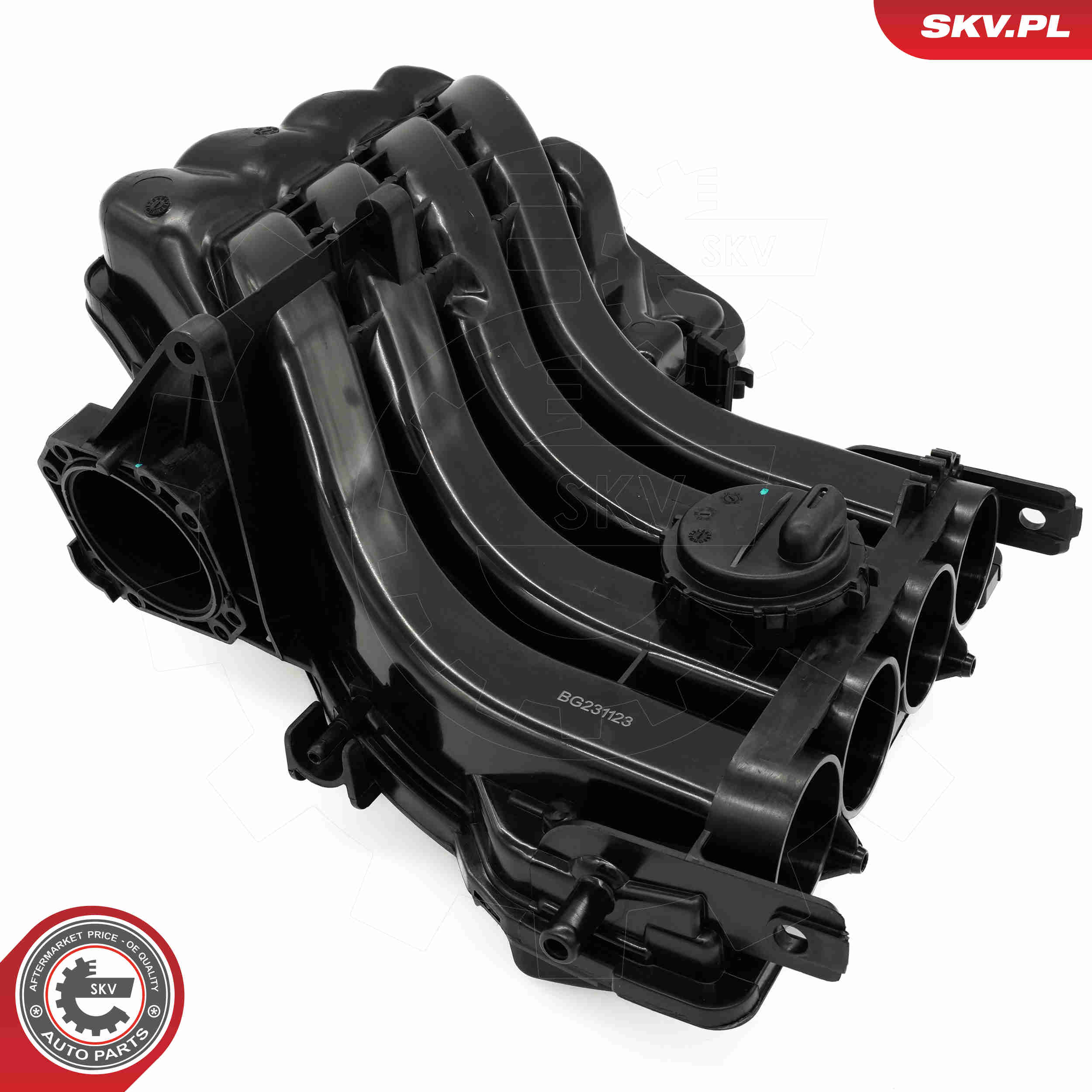 Intake Manifold Module - 49SKV088 ESEN SKV