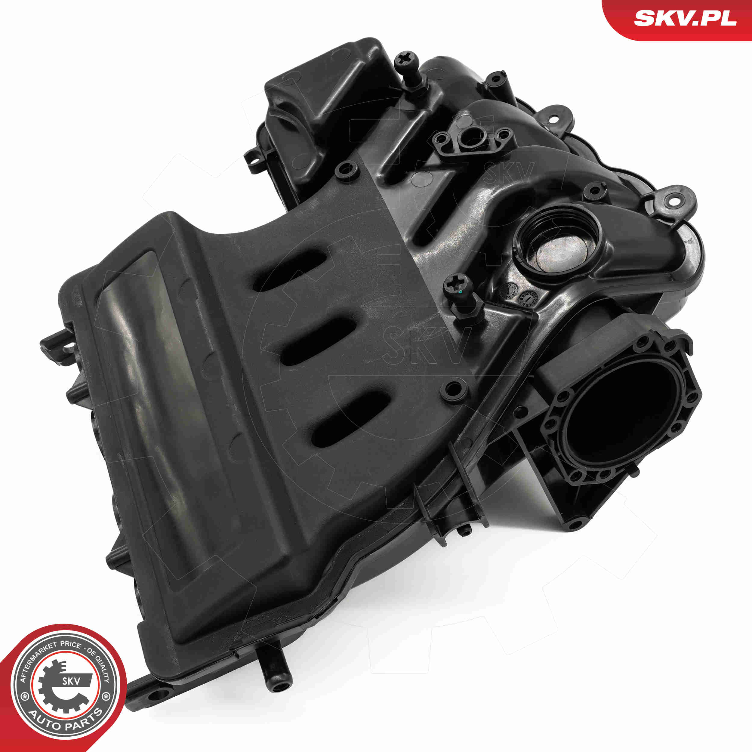 Intake Manifold Module - 49SKV088 ESEN SKV