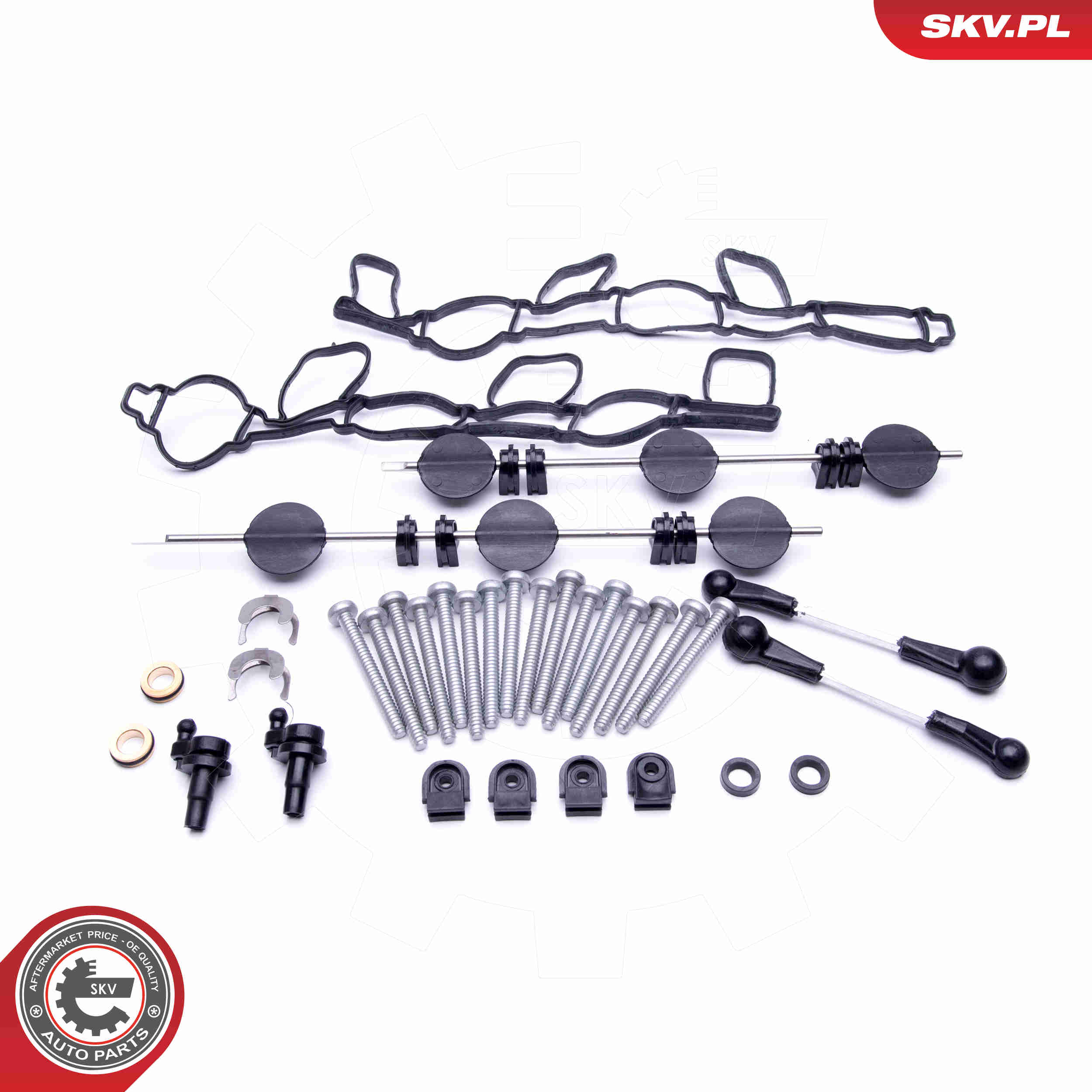 Repair Kit, intake manifold module - 49SKV501 ESEN SKV
