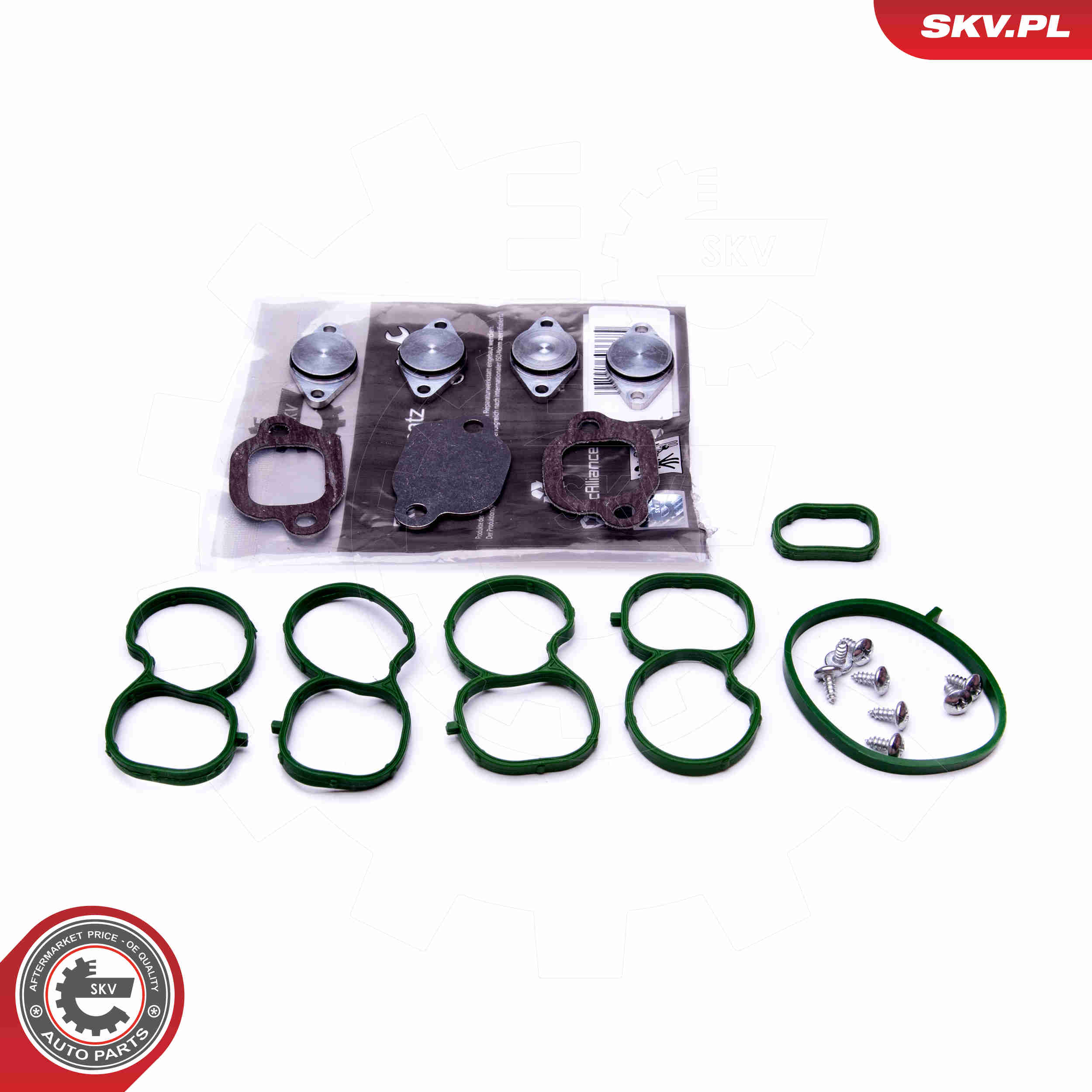 Repair Kit, intake manifold module - 49SKV512 ESEN SKV