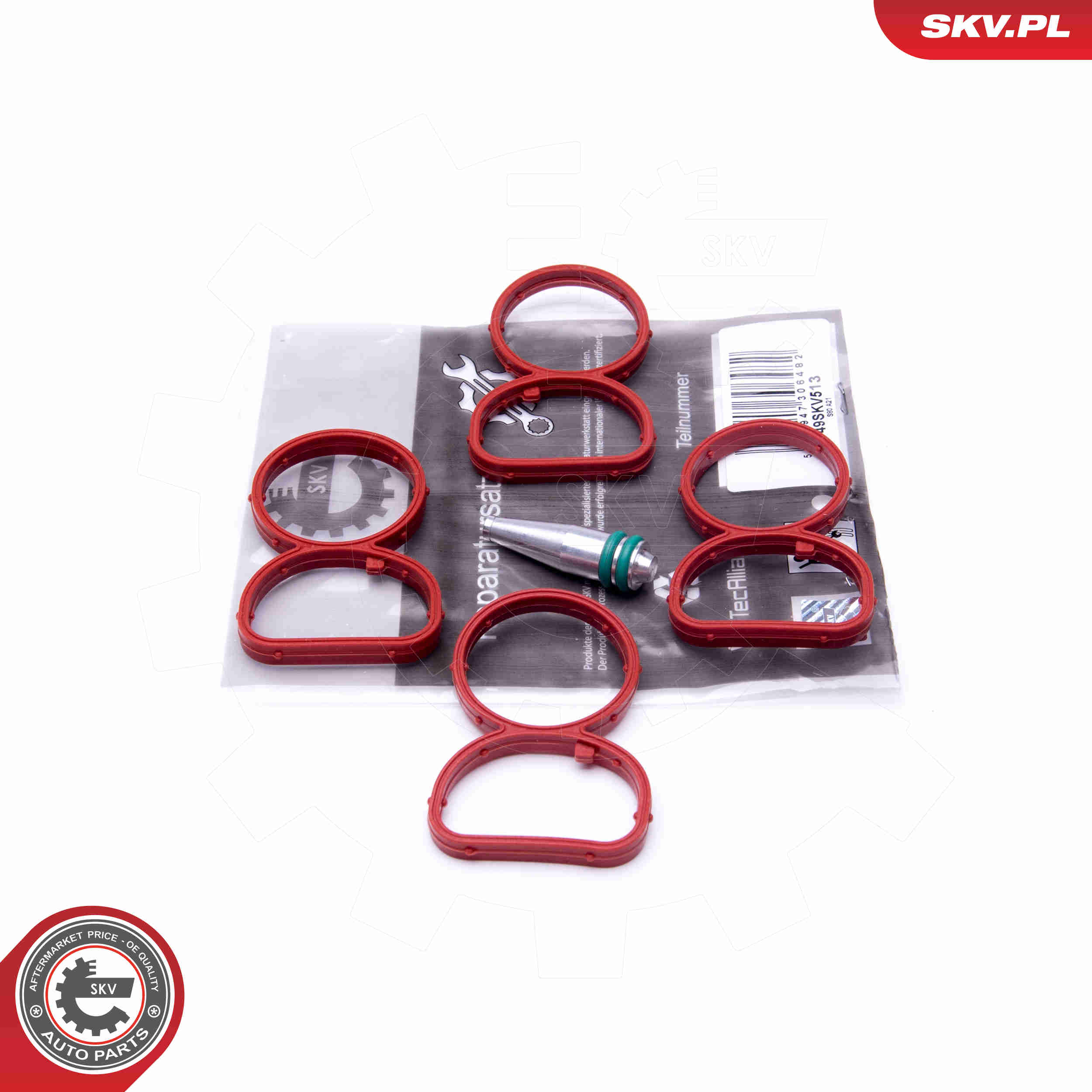 Repair Kit, intake manifold module - 49SKV513 ESEN SKV