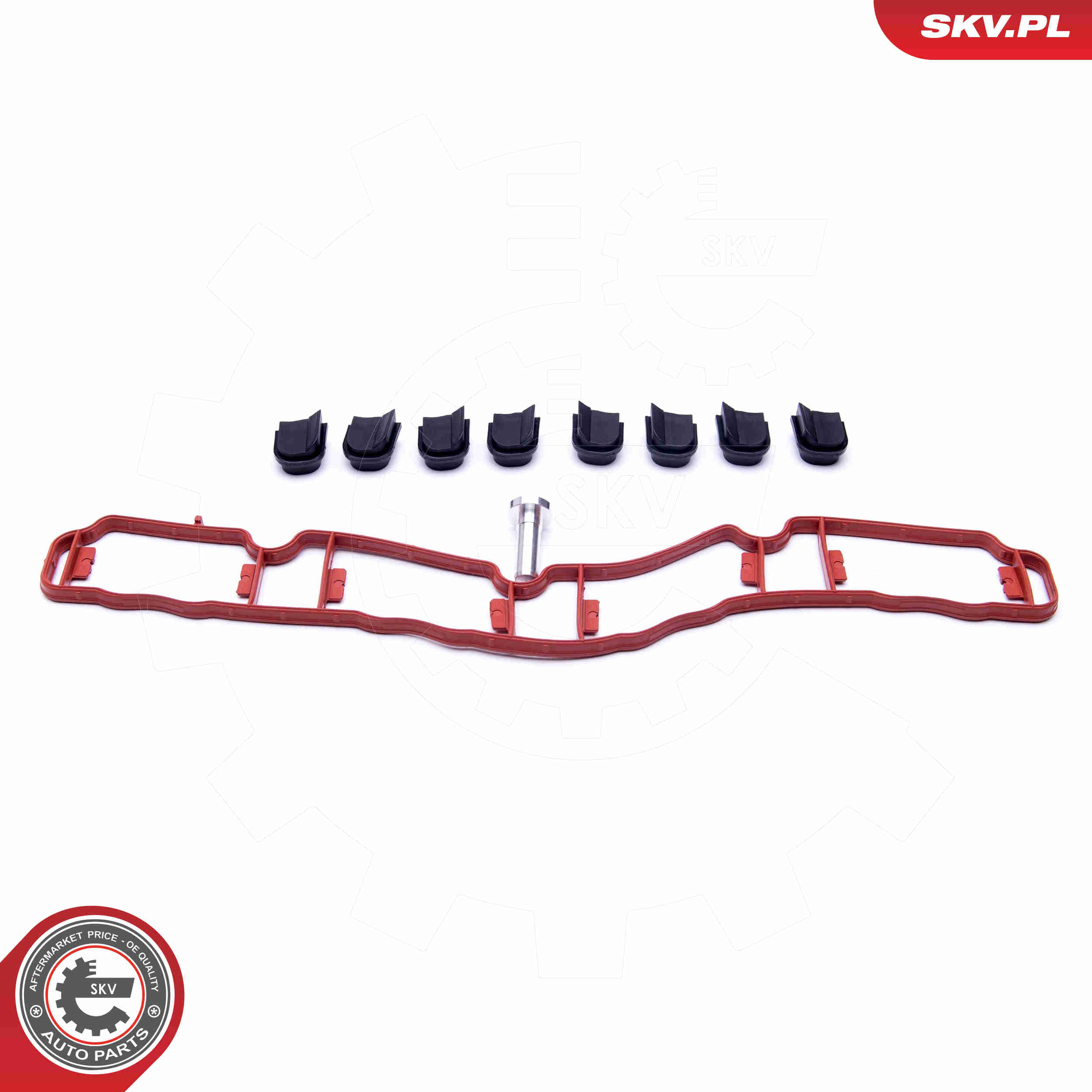 Repair Kit, intake manifold module - 49SKV514 ESEN SKV