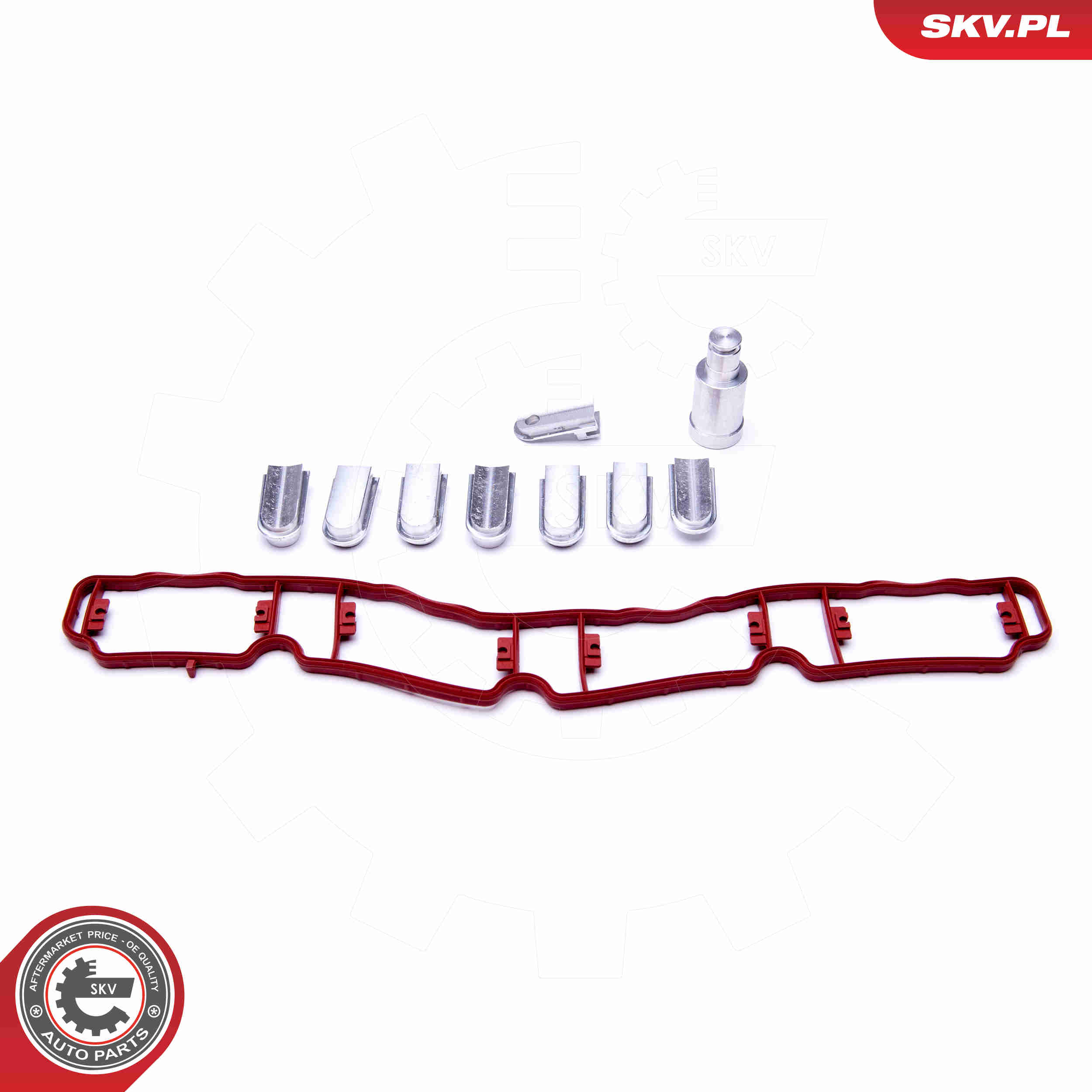 Repair Kit, intake manifold module - 49SKV521 ESEN SKV