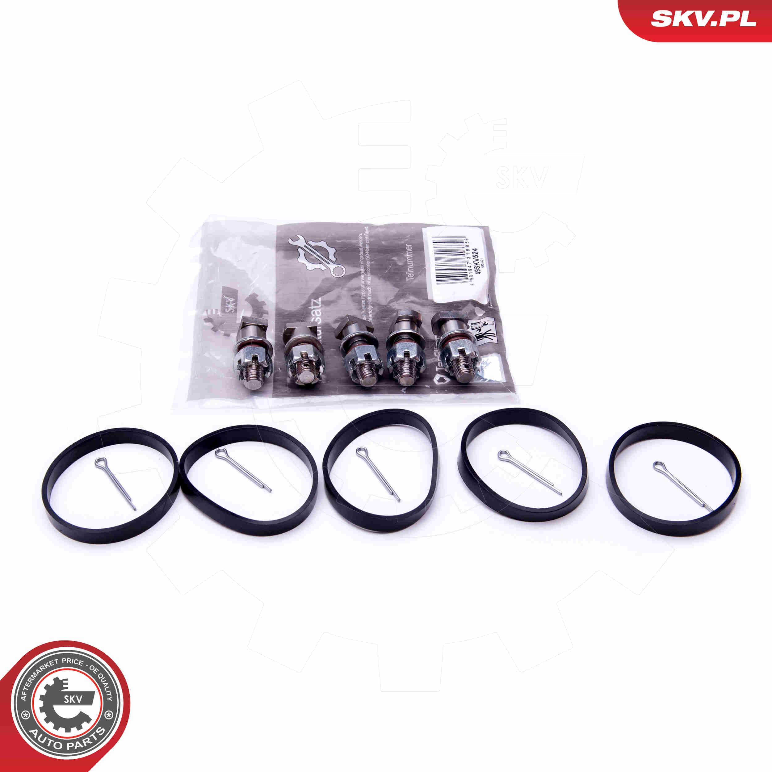 Repair Kit, intake manifold module - 49SKV524 ESEN SKV