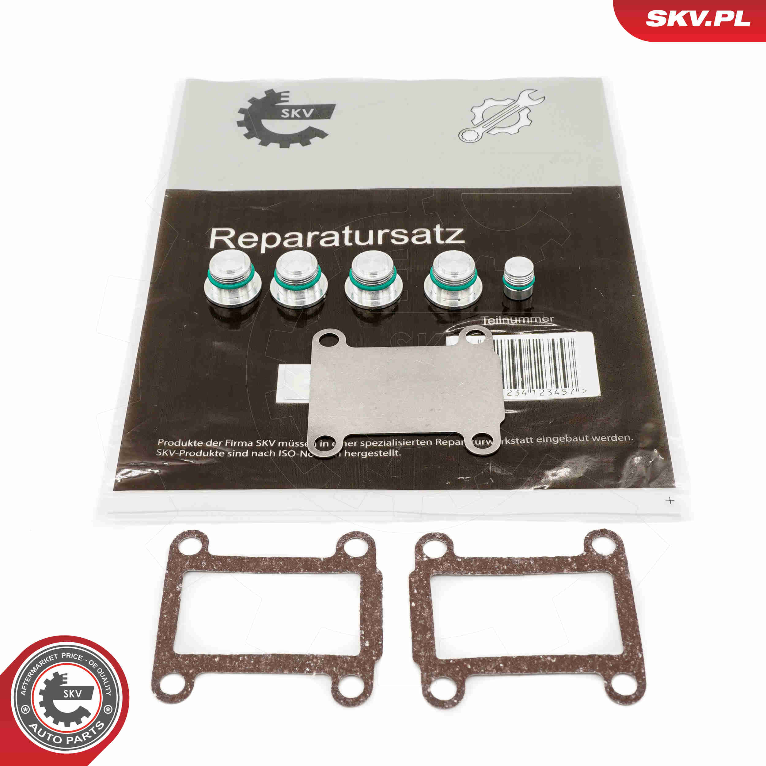 Repair Kit, intake manifold module - 49SKV525 ESEN SKV