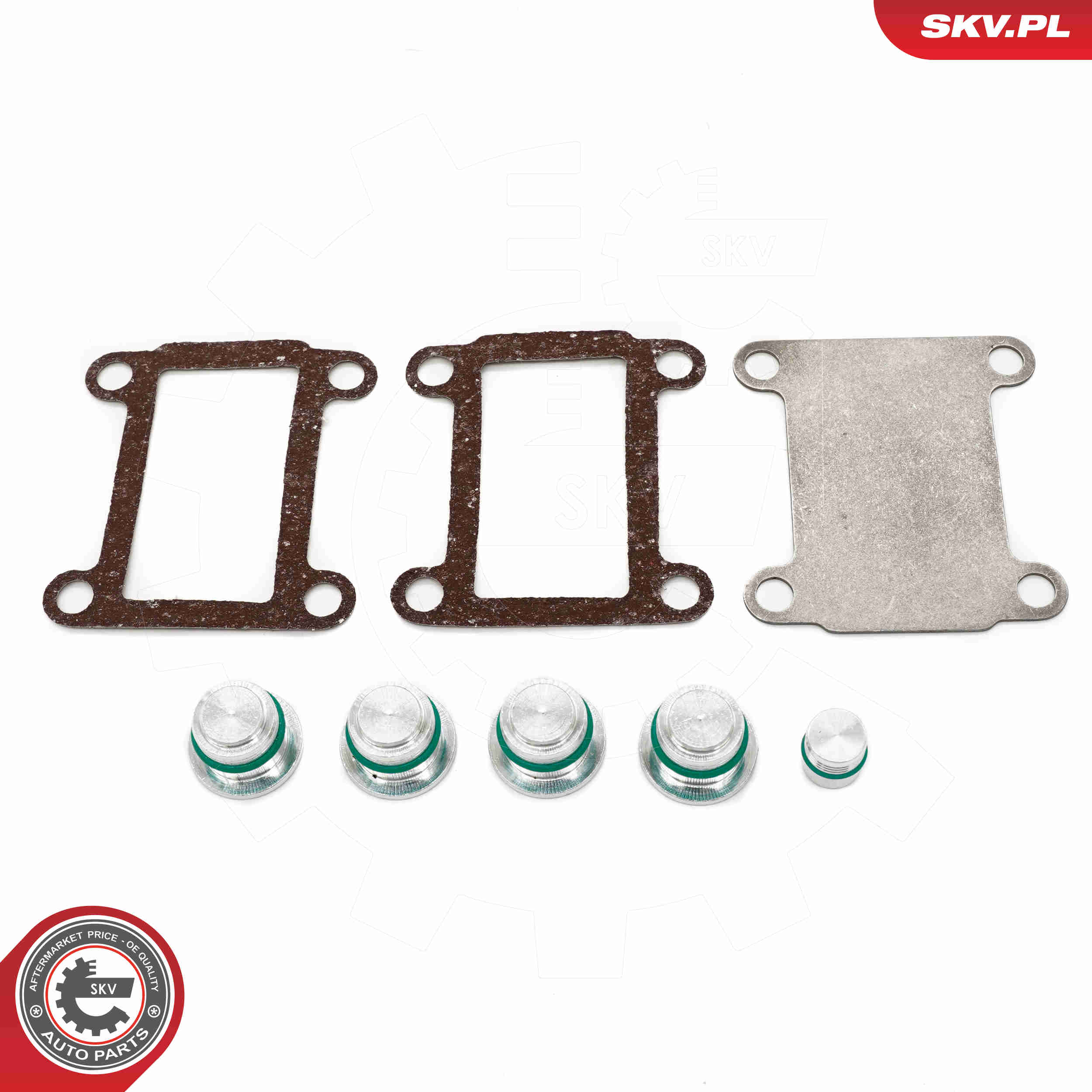 Repair Kit, intake manifold module - 49SKV525 ESEN SKV