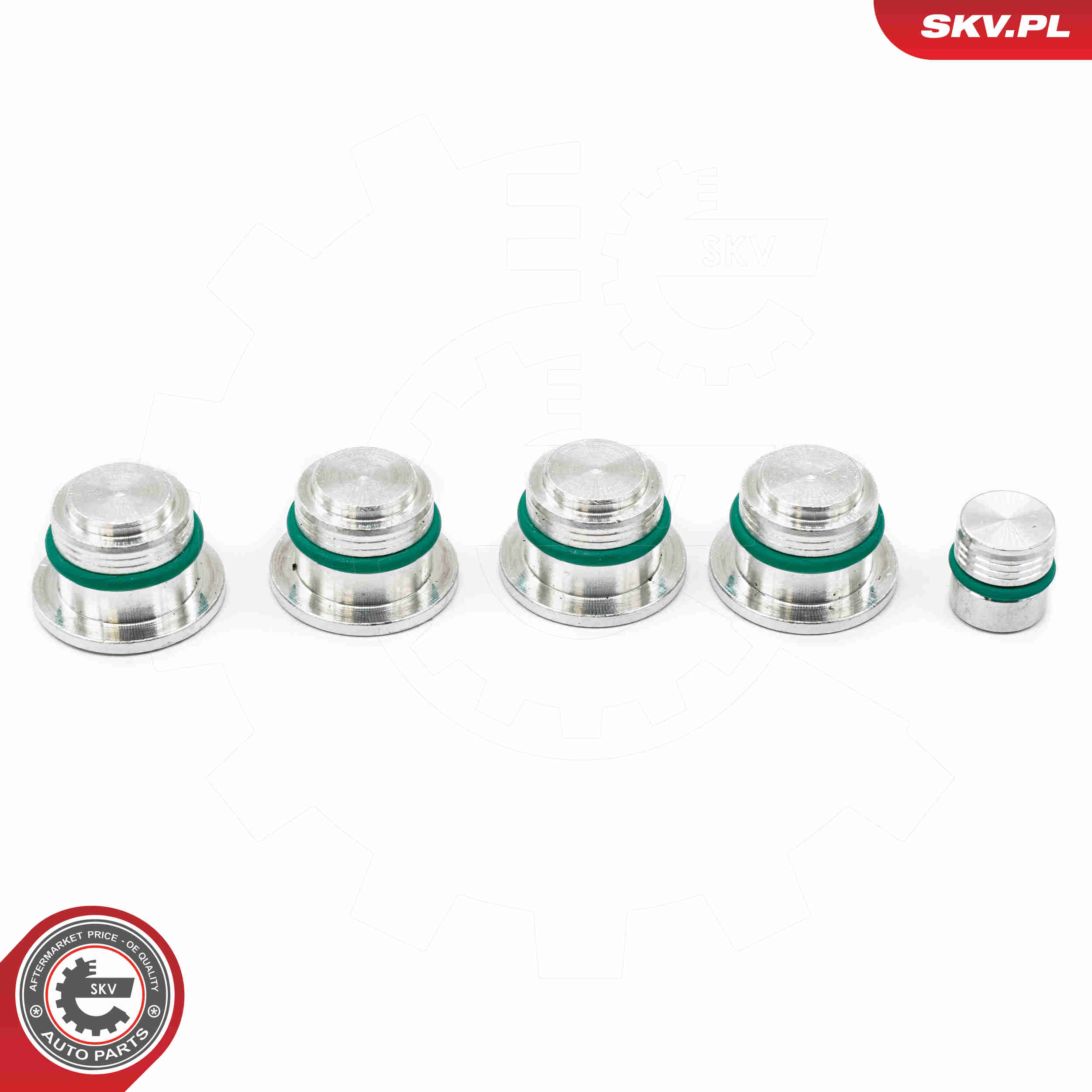 Repair Kit, intake manifold module - 49SKV525 ESEN SKV