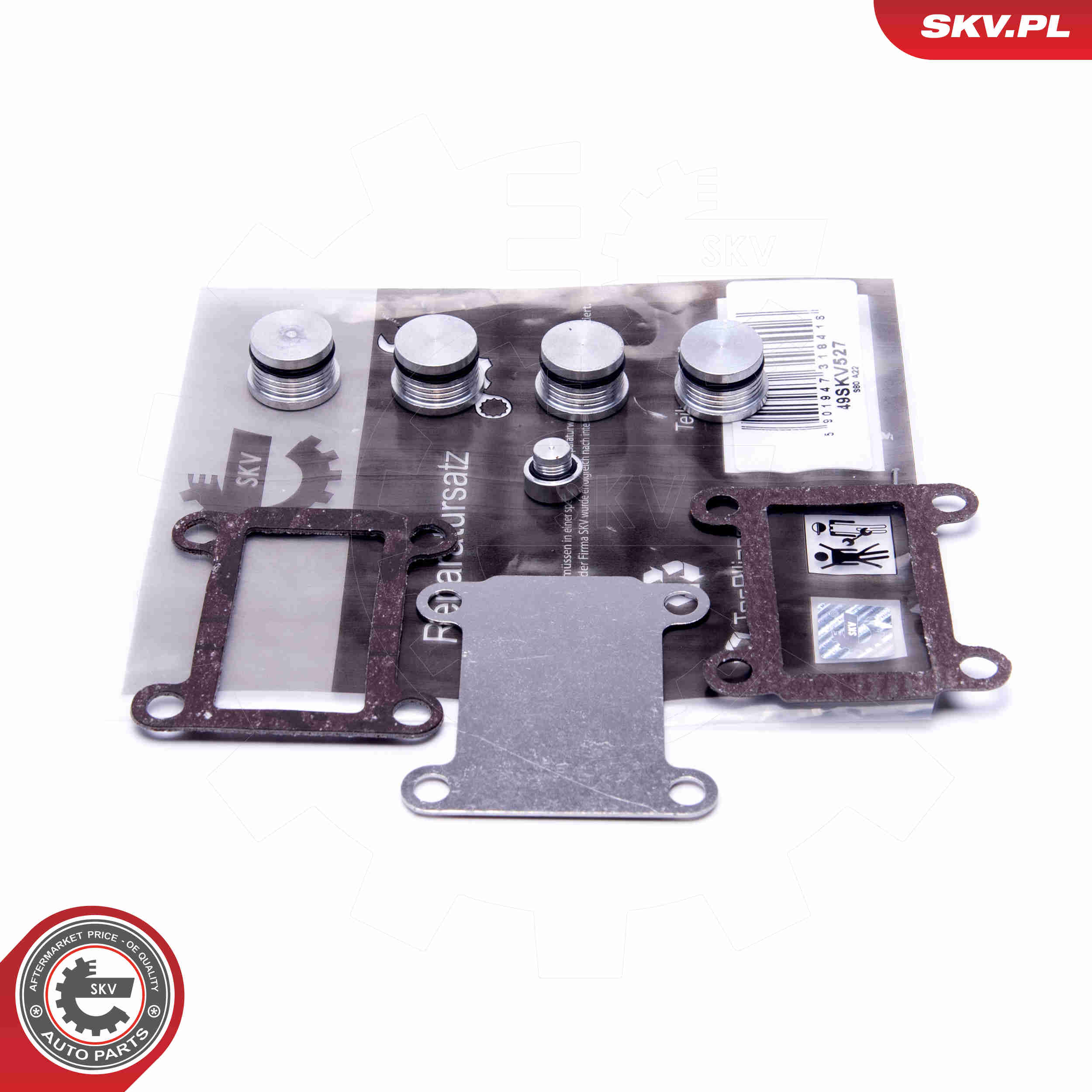 Repair Kit, intake manifold module - 49SKV527 ESEN SKV