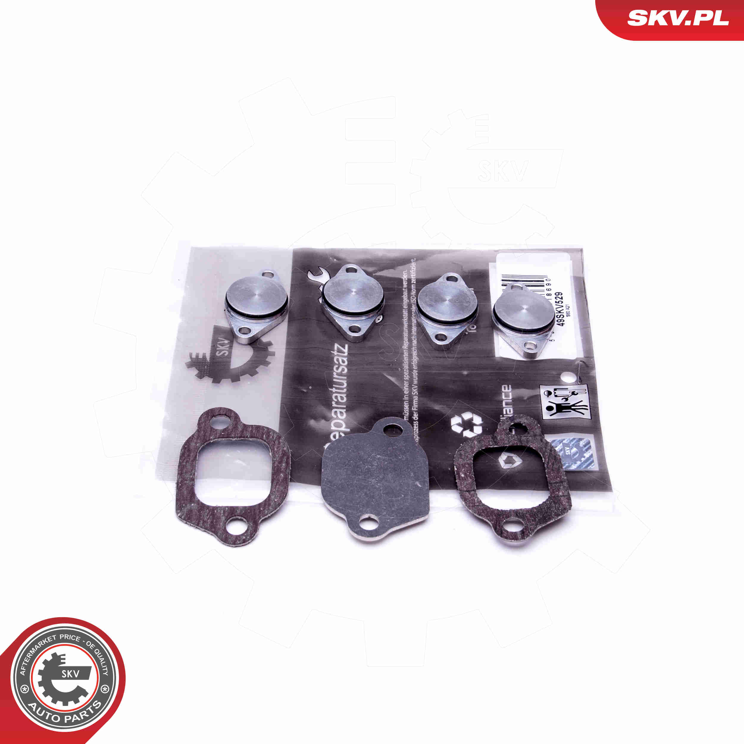 Repair Kit, intake manifold module - 49SKV529 ESEN SKV