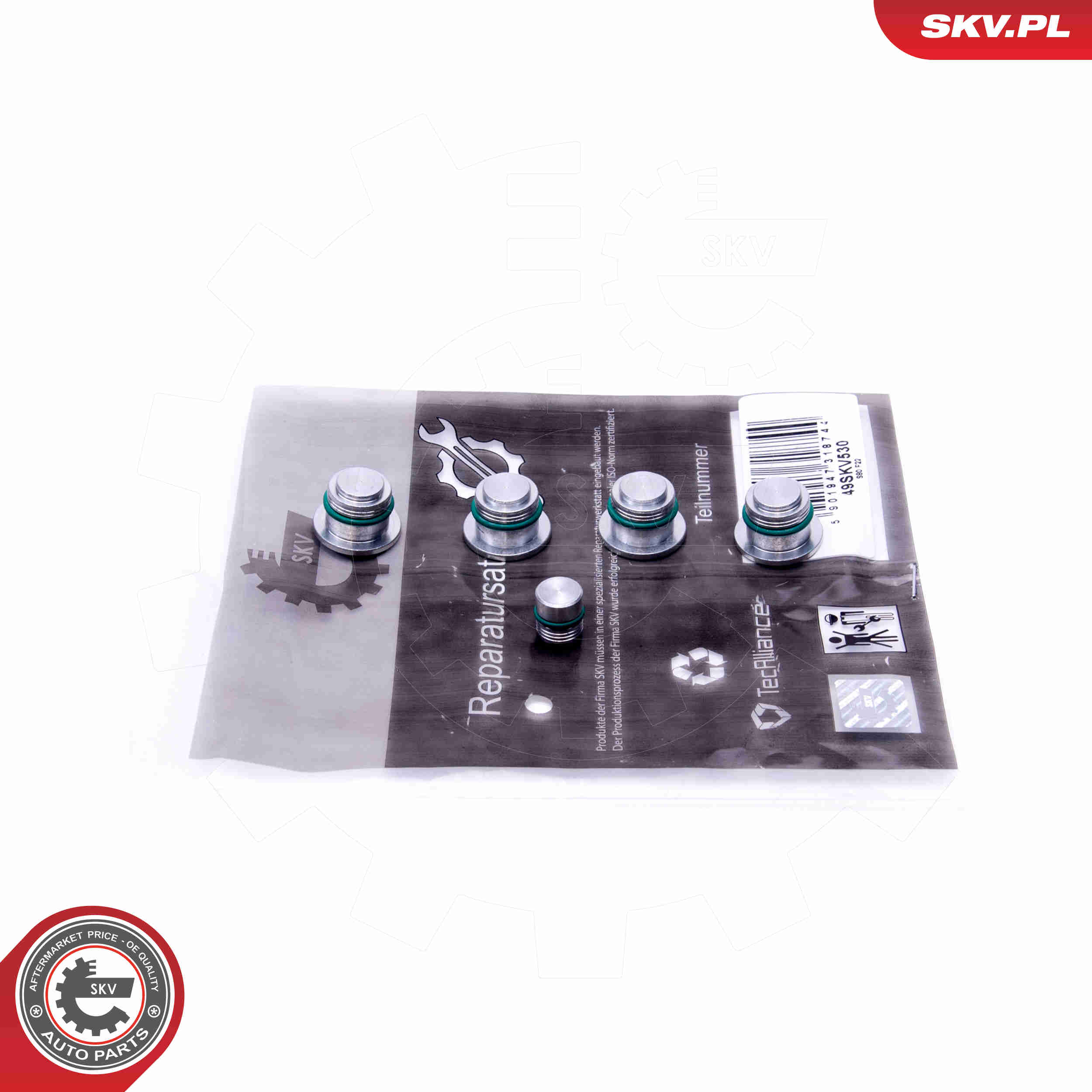 Repair Kit, intake manifold module - 49SKV530 ESEN SKV