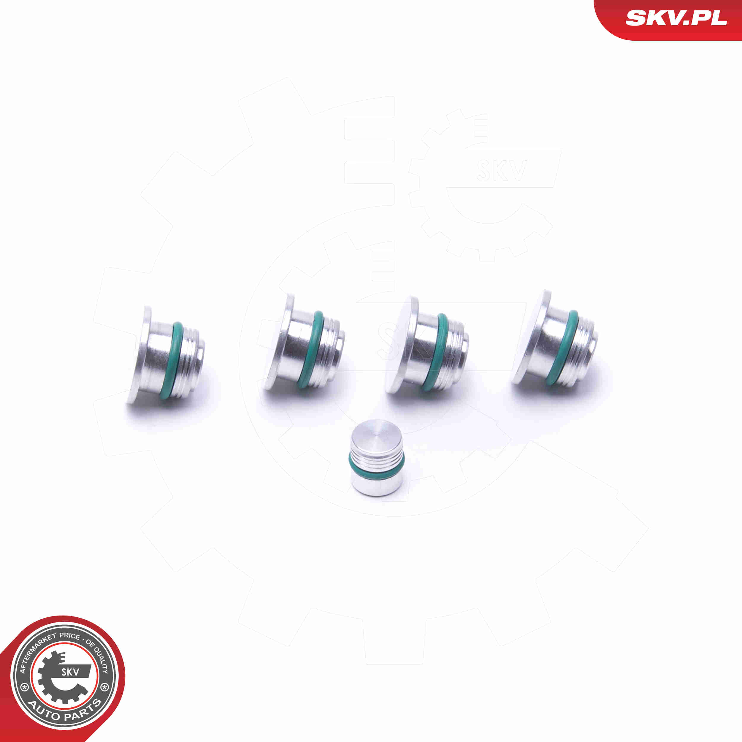 Repair Kit, intake manifold module - 49SKV530 ESEN SKV