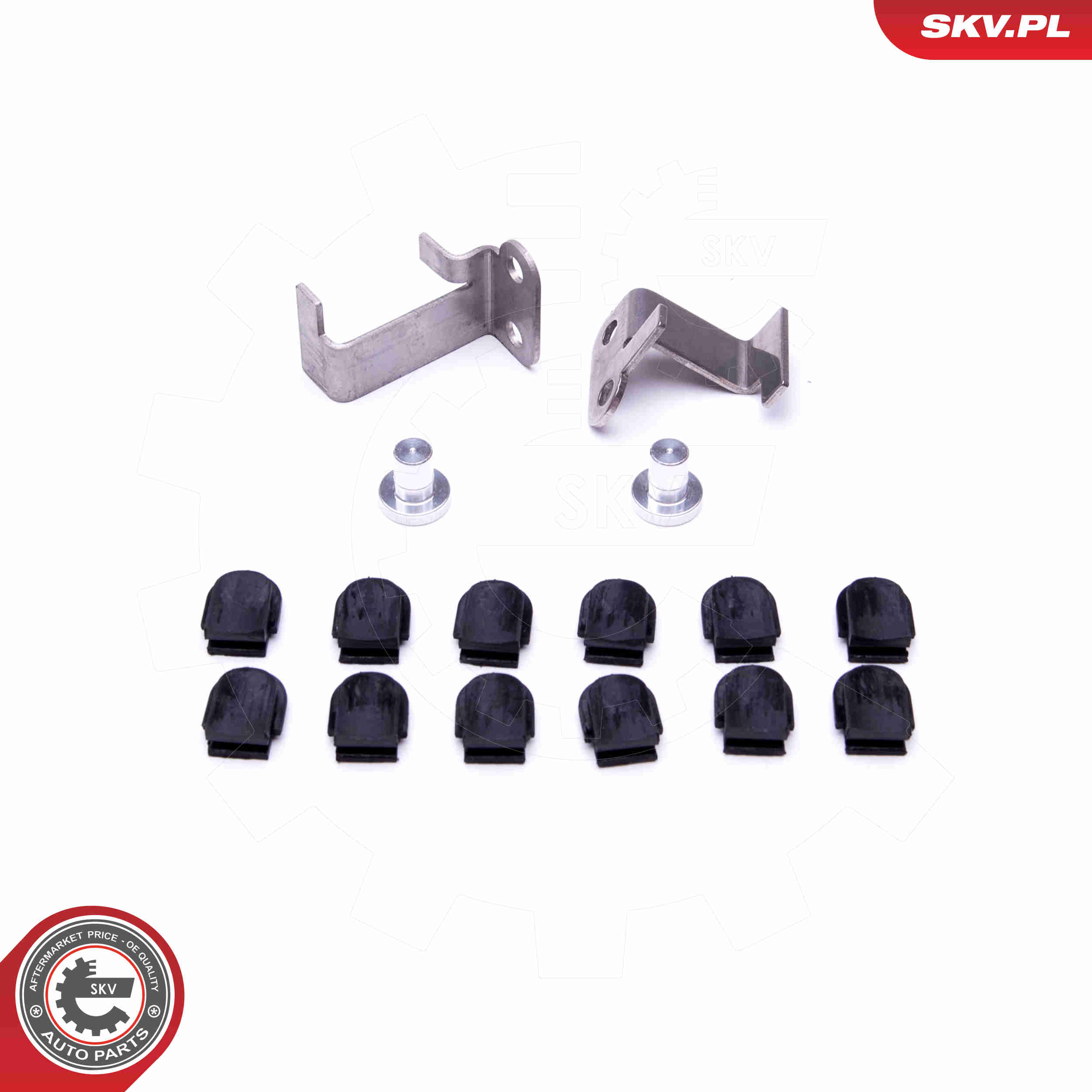 Repair Kit, intake manifold module - 49SKV543 ESEN SKV