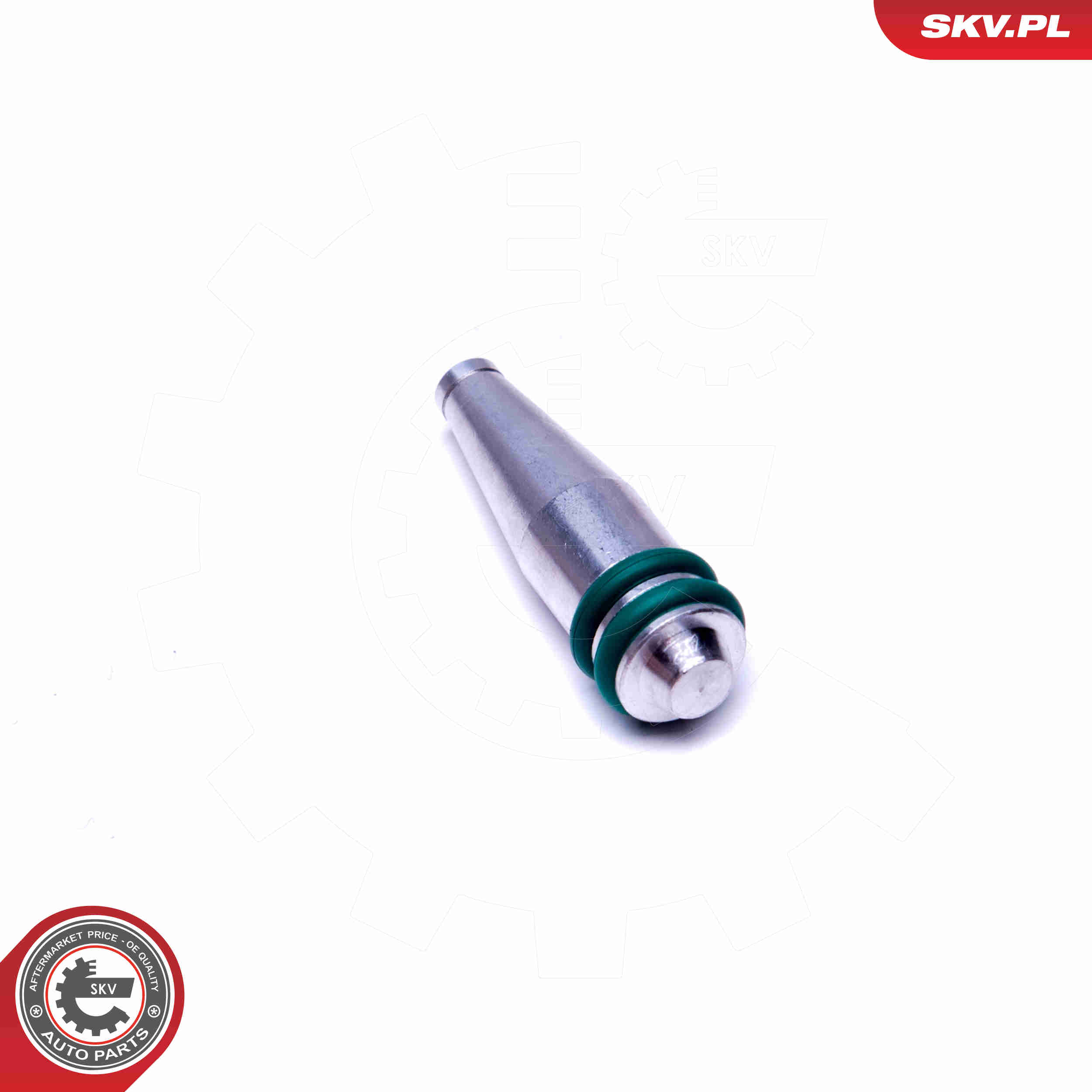 Repair Kit, intake manifold module - 49SKV548 ESEN SKV