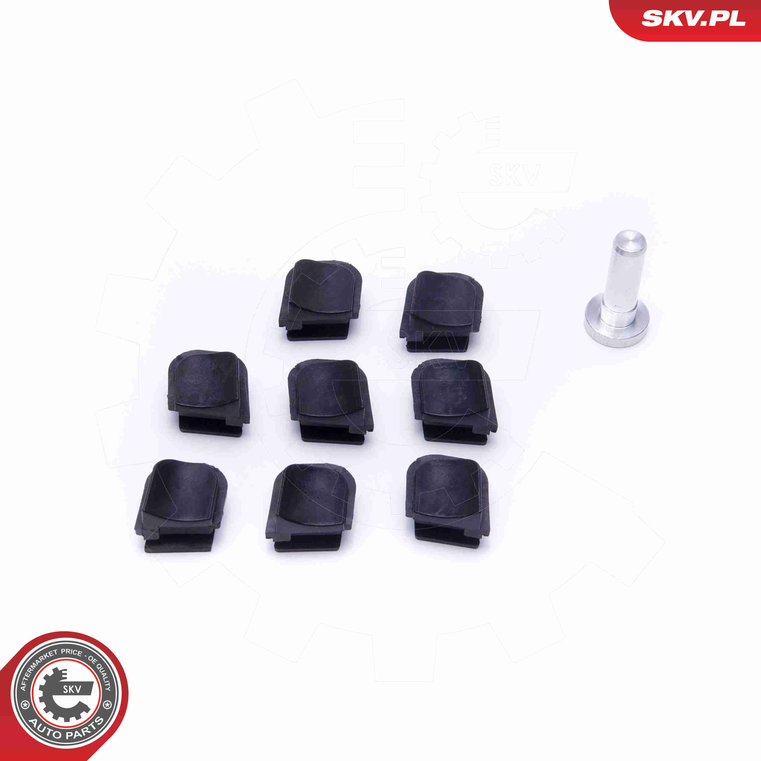 Repair Kit, intake manifold module - 49SKV645 ESEN SKV