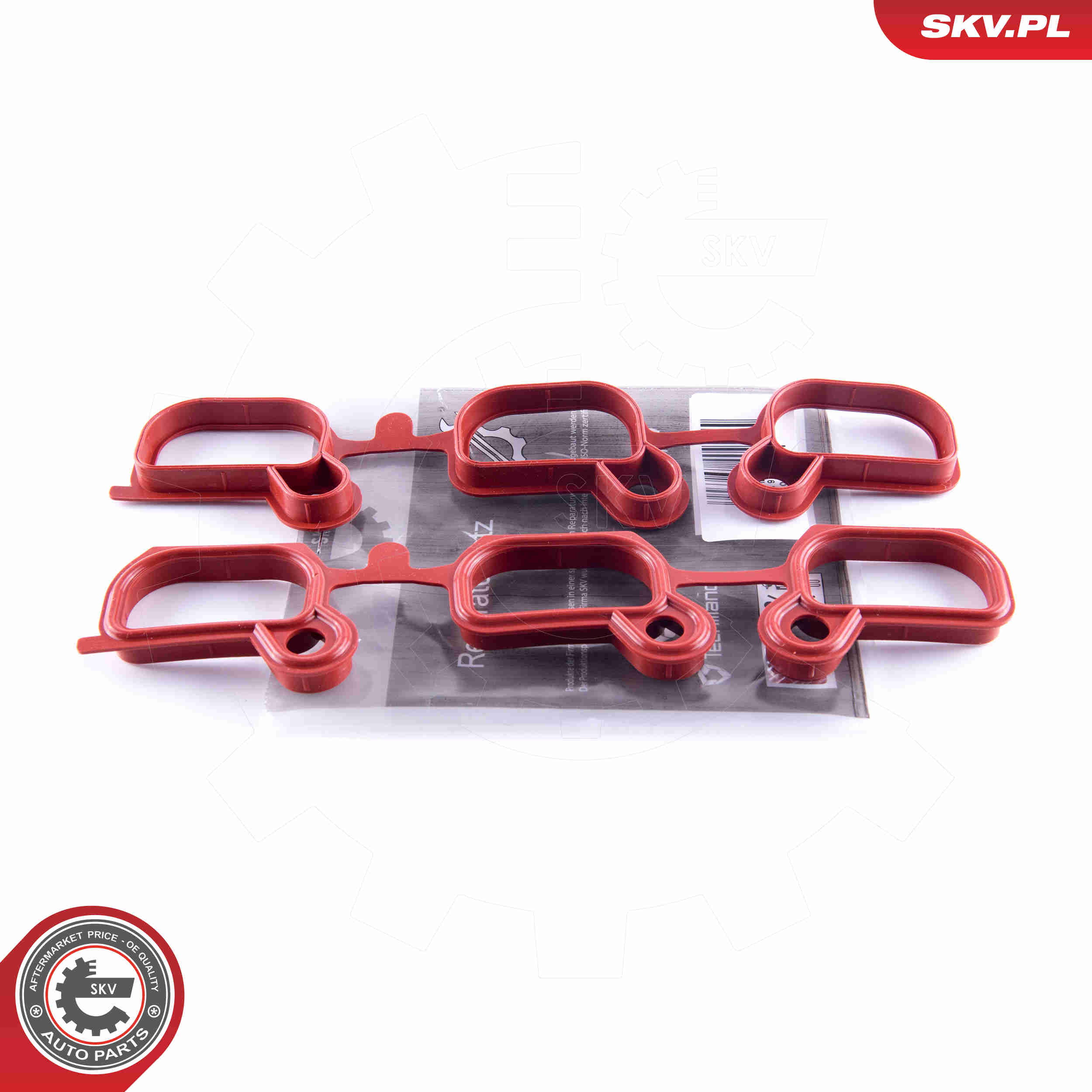 Repair Kit, intake manifold module - 49SKV651 ESEN SKV