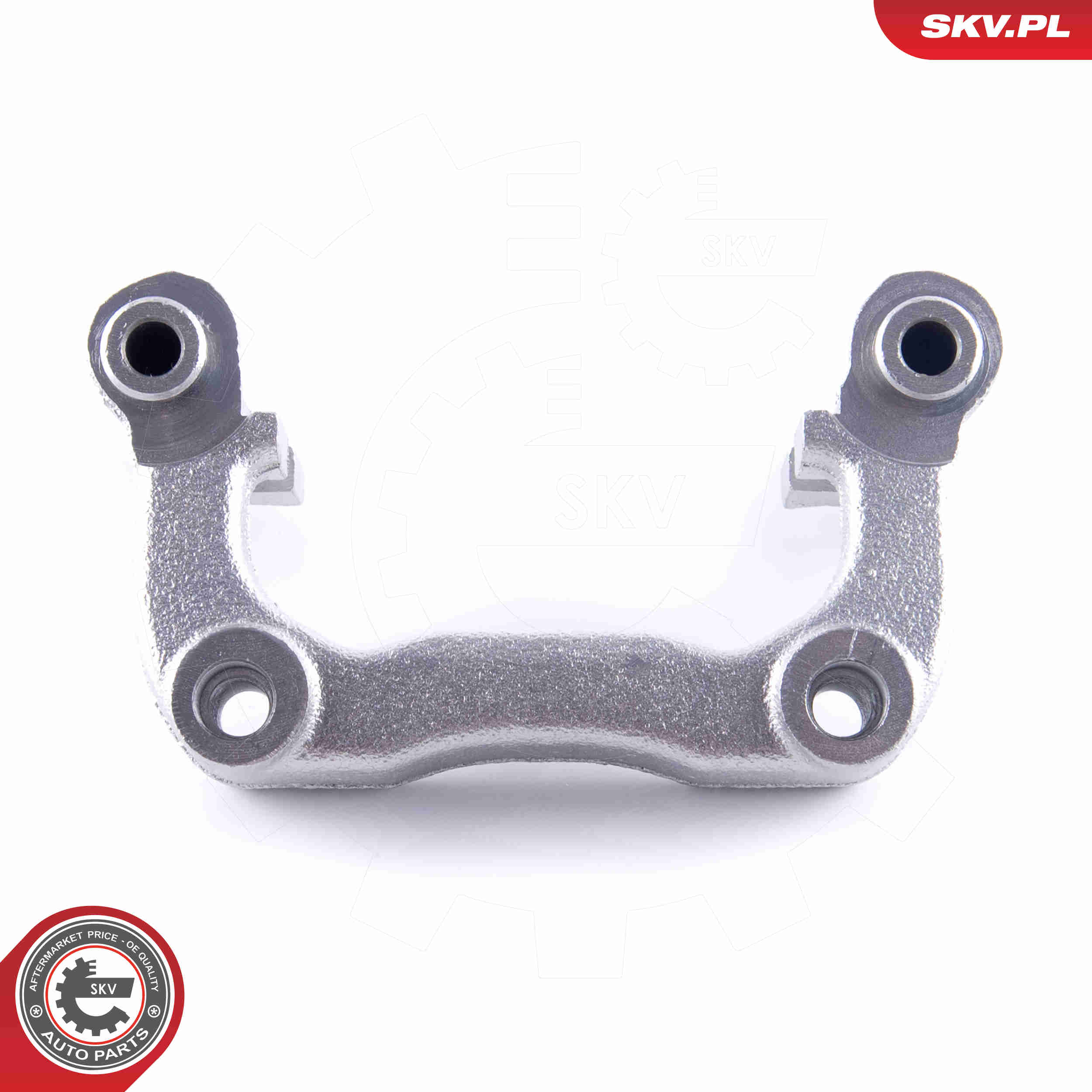 Carrier, brake caliper - 50SKV564 ESEN SKV