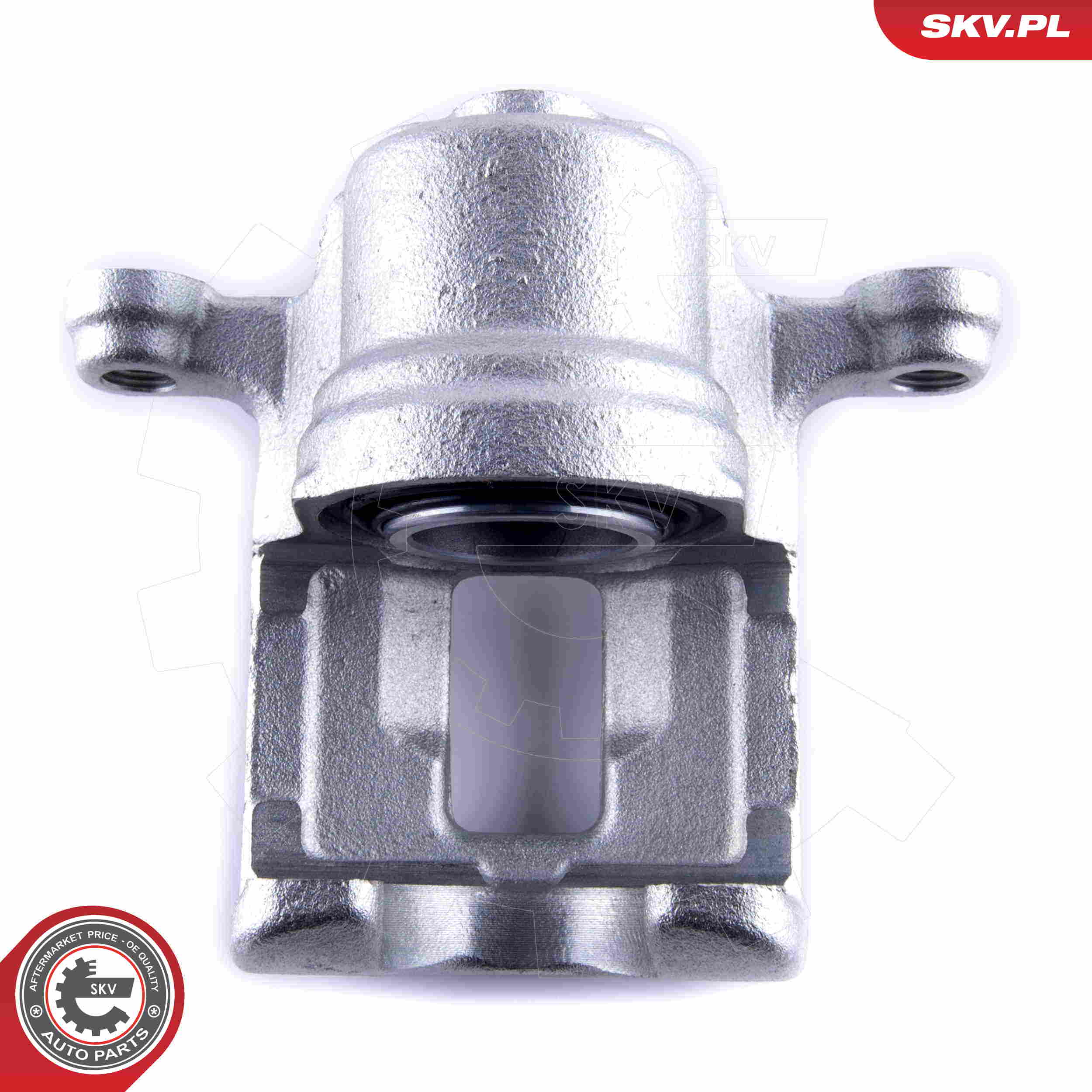 Brake Caliper - 55SKV023 ESEN SKV
