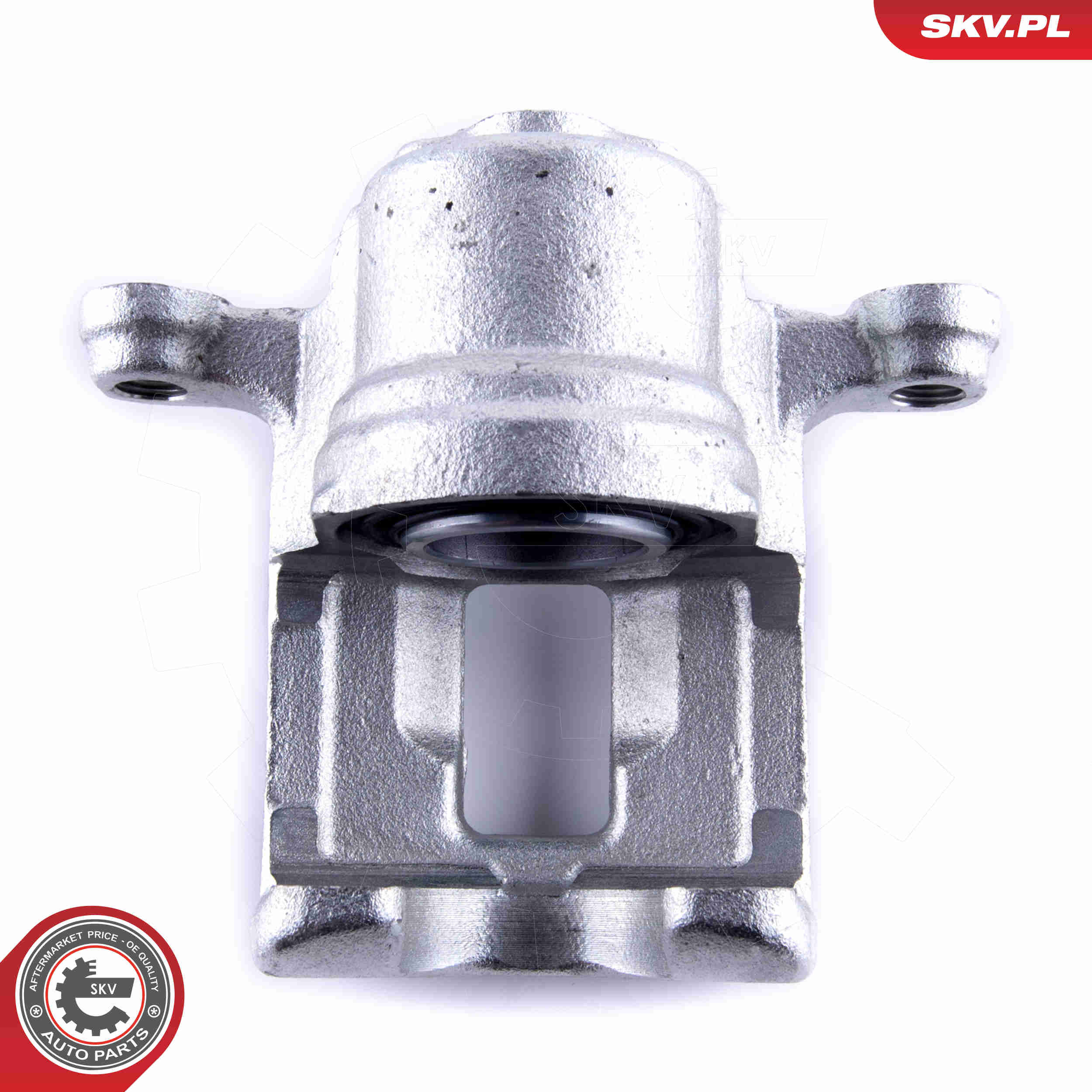 Brake Caliper - 55SKV024 ESEN SKV