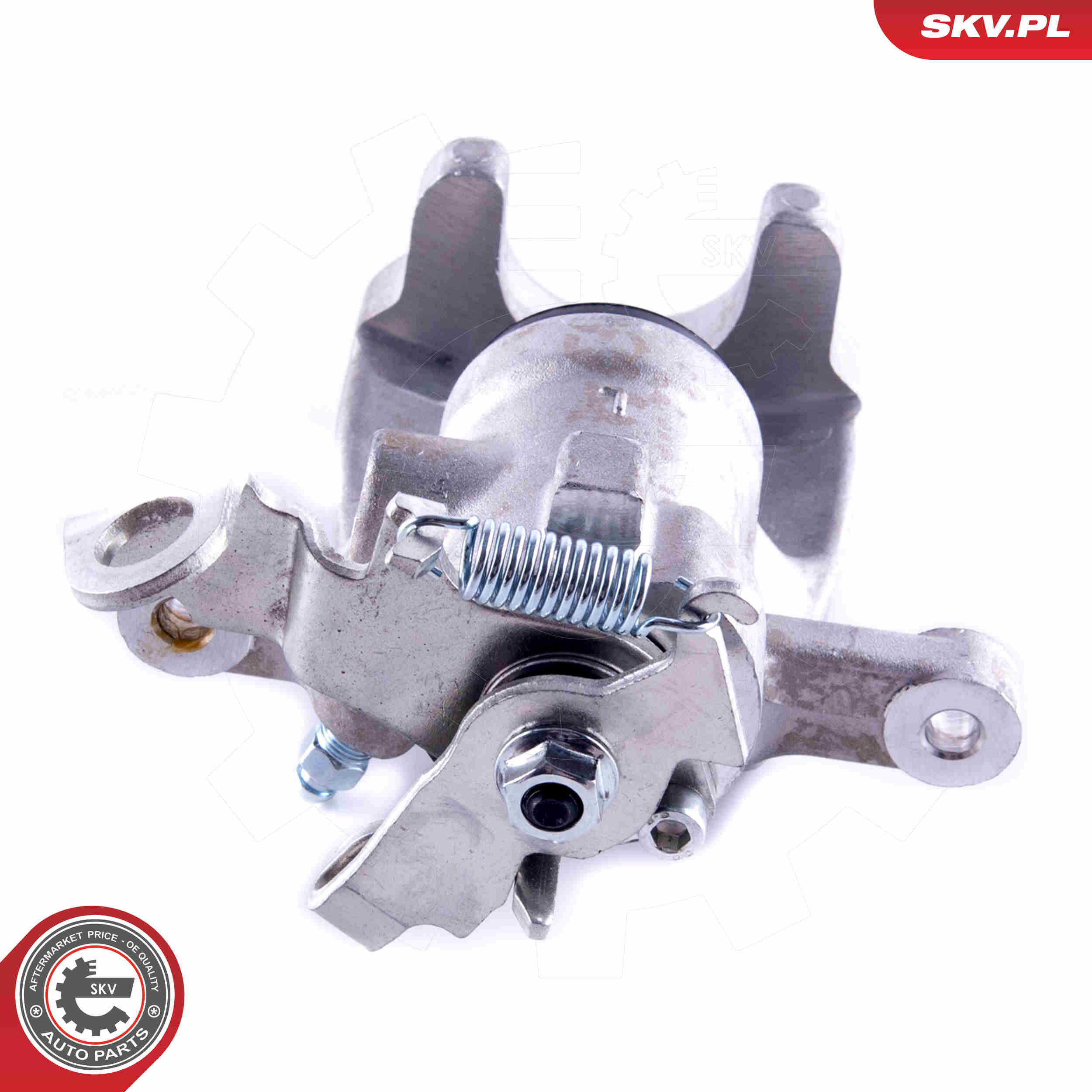 Brake Caliper - 55SKV123 ESEN SKV