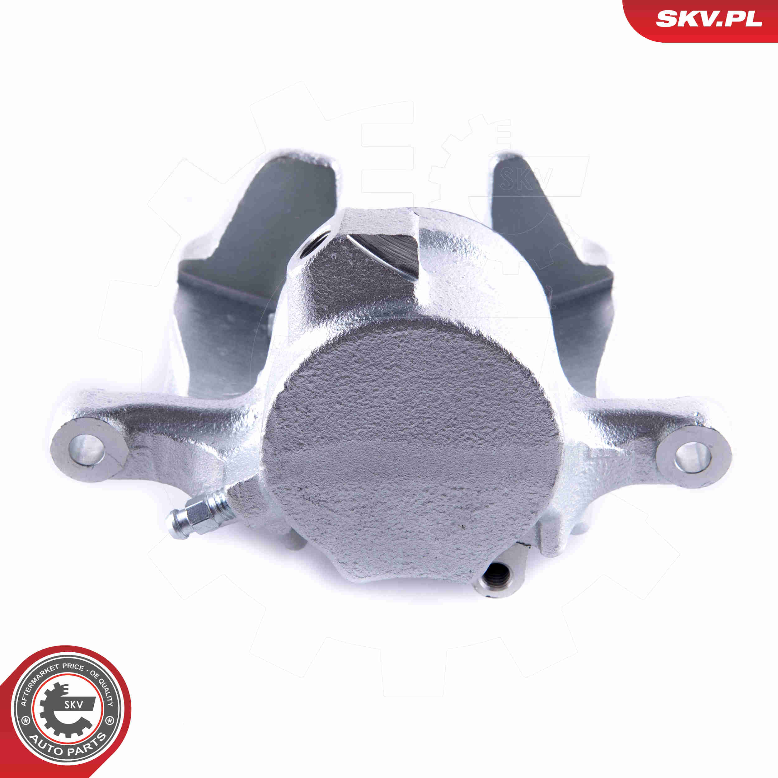 Brake Caliper - 55SKV132 ESEN SKV