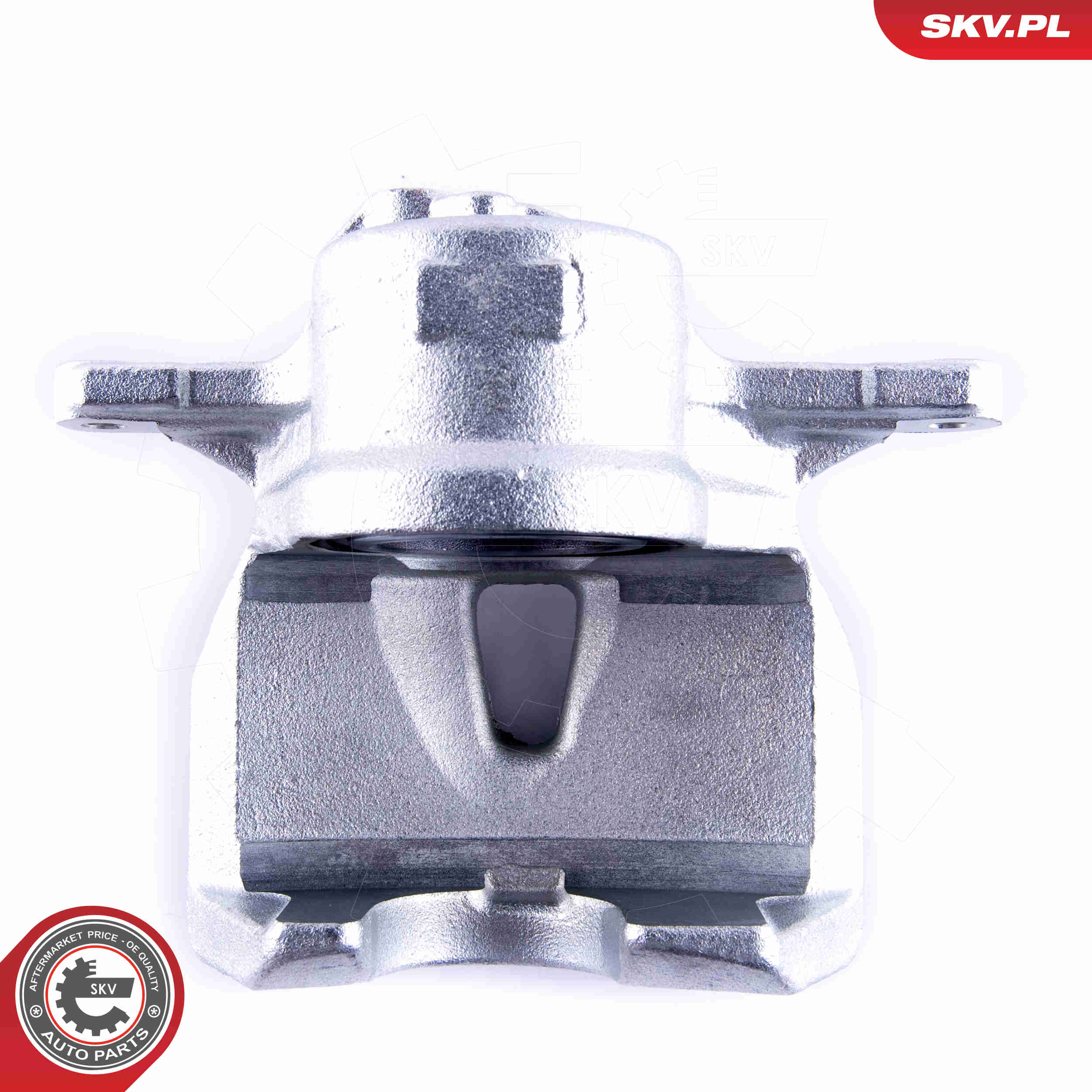 Brake Caliper - 55SKV512 ESEN SKV