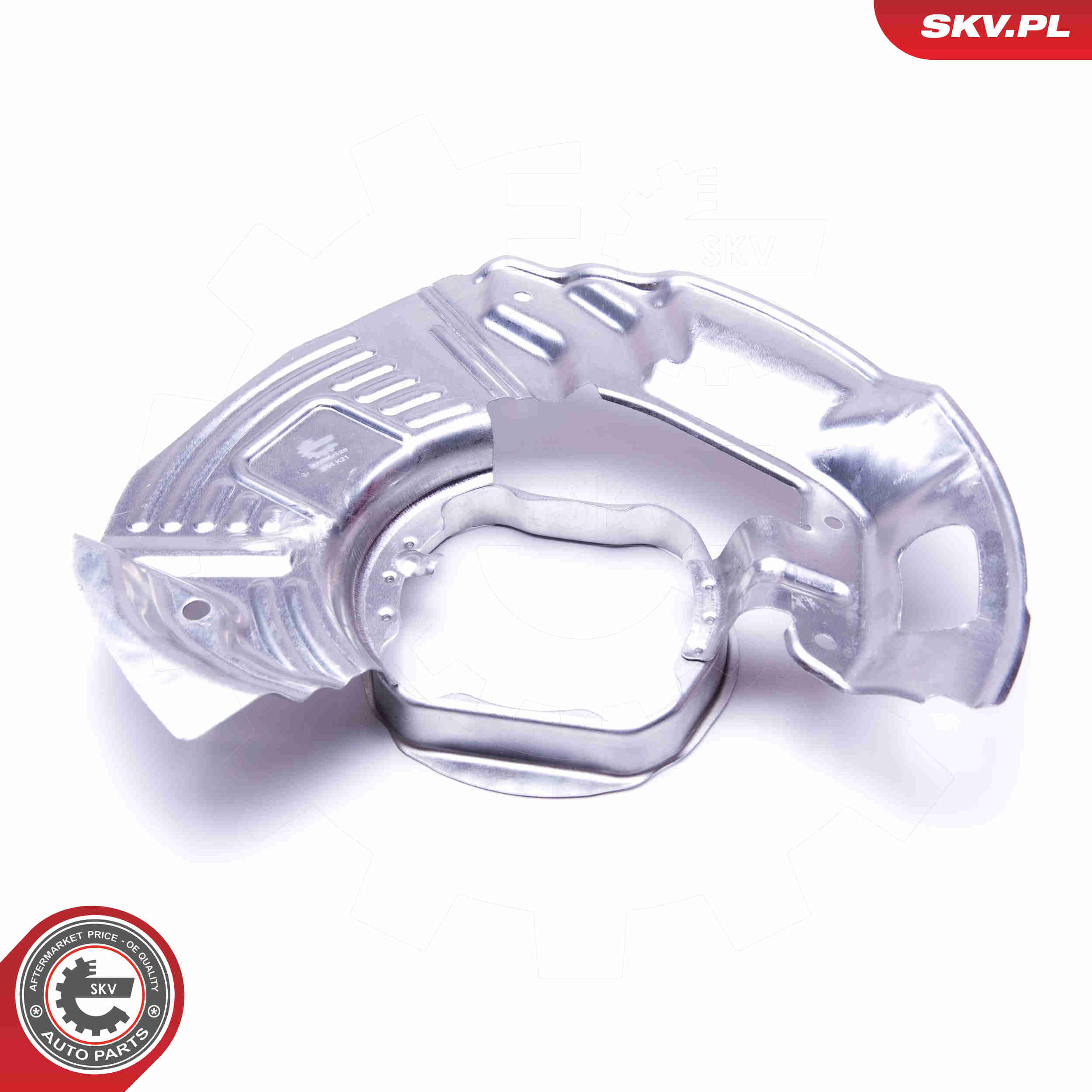 Splash Panel, brake disc - 57SKV128 ESEN SKV
