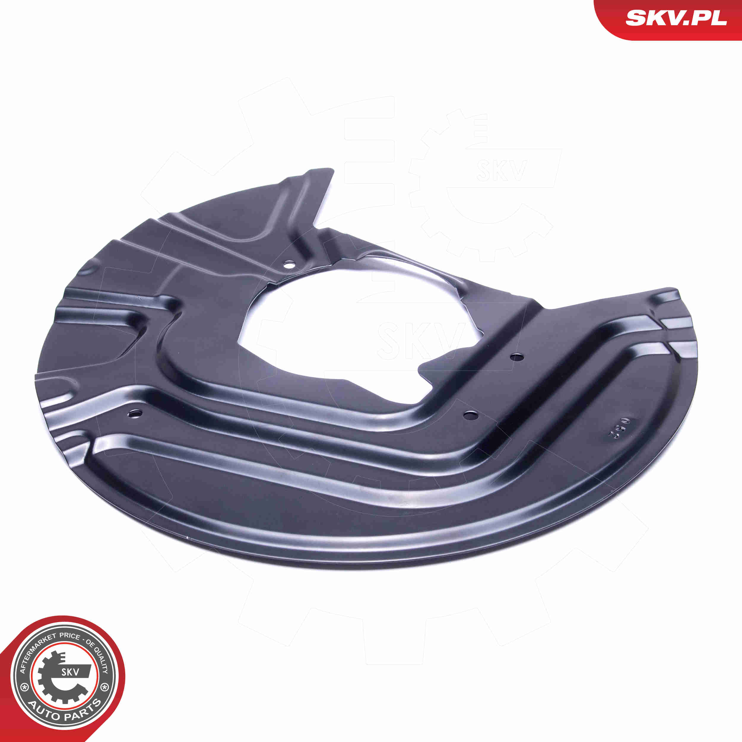 Splash Panel, brake disc - 57SKV130 ESEN SKV