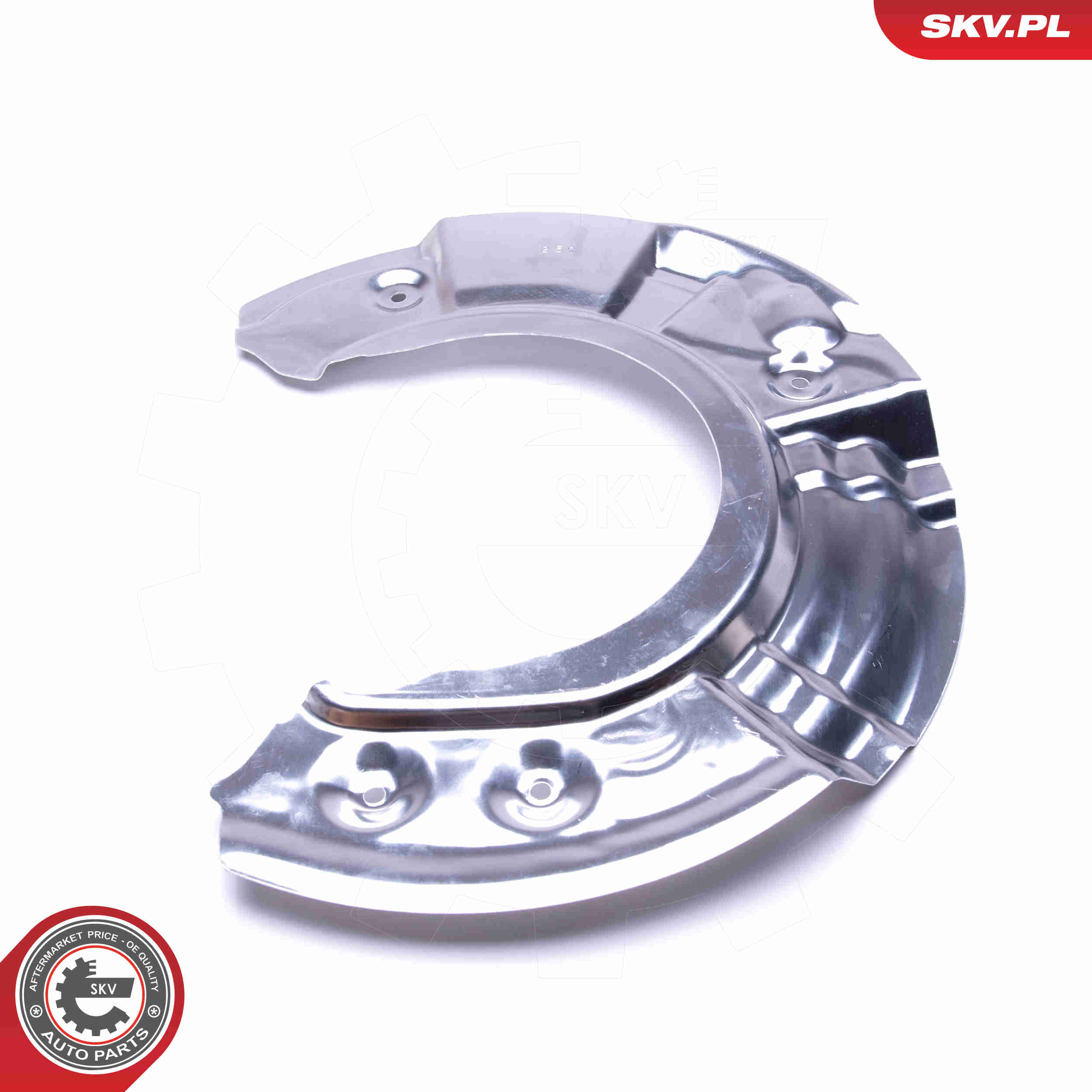 Splash Panel, brake disc - 57SKV137 ESEN SKV