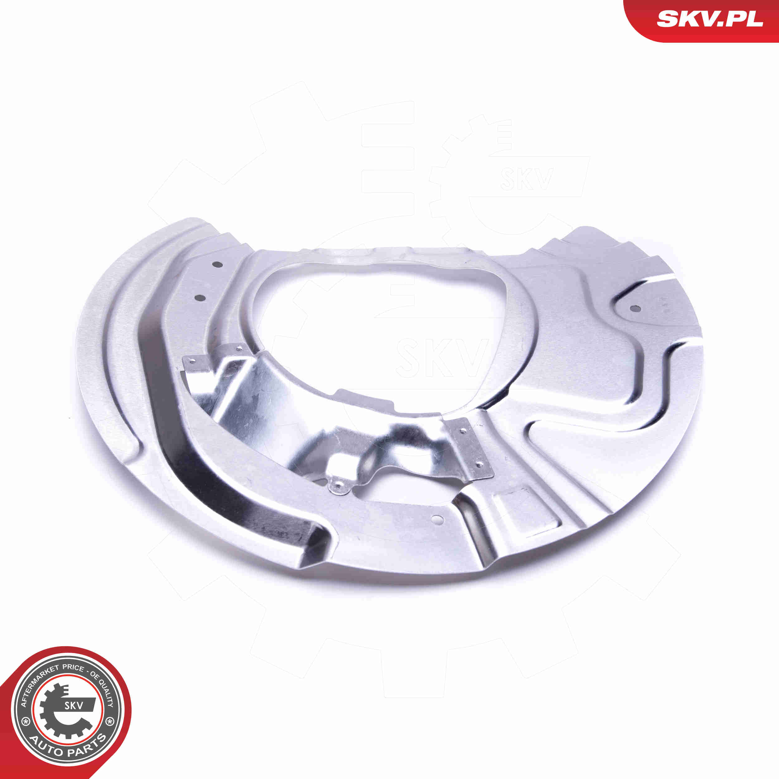 Splash Panel, brake disc - 57SKV139 ESEN SKV