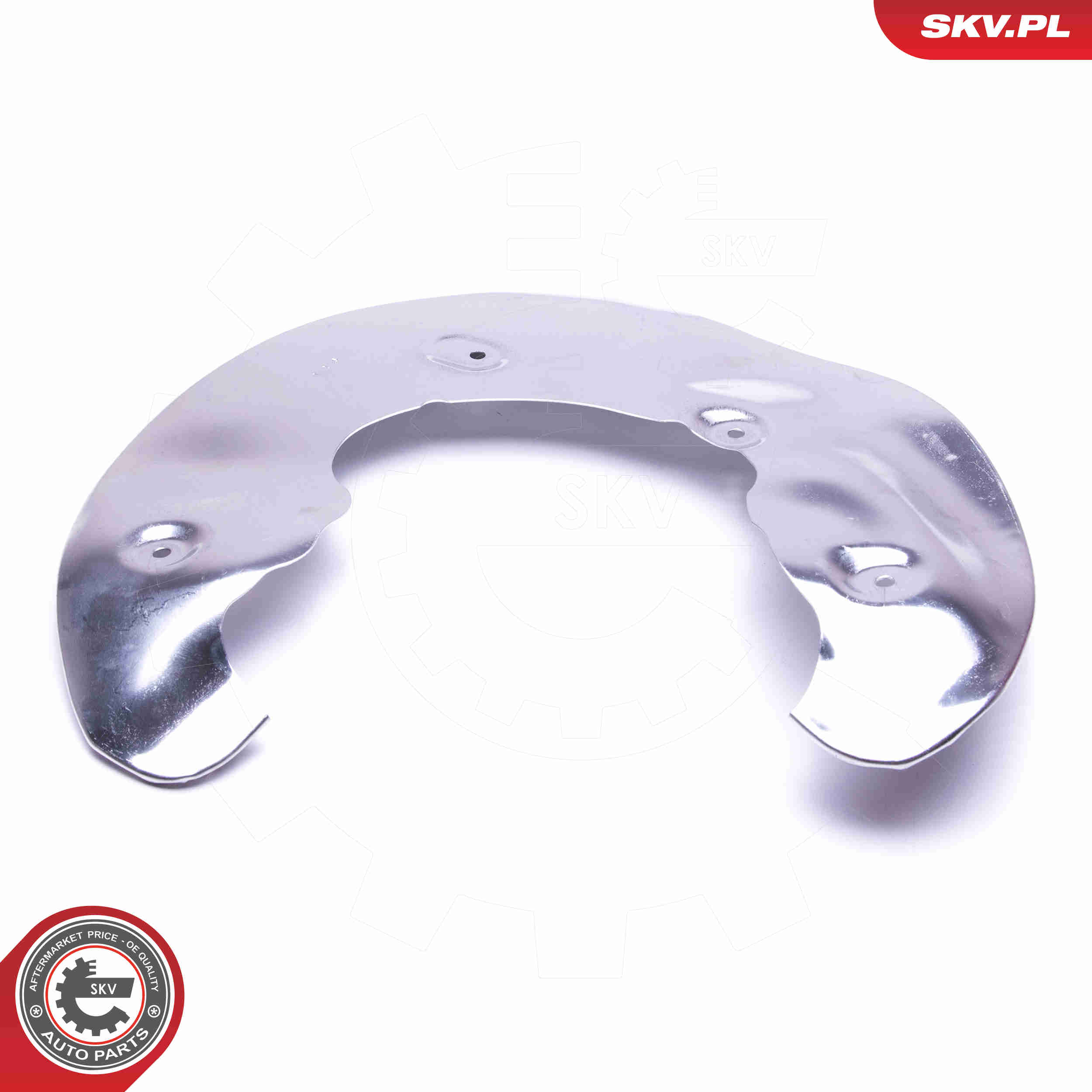 Splash Panel, brake disc - 57SKV171 ESEN SKV
