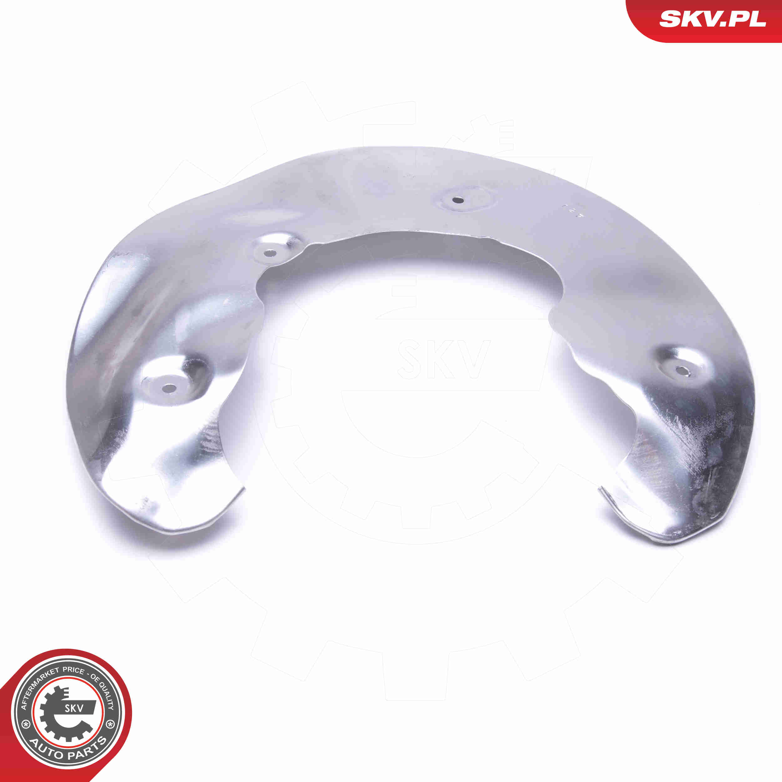 Splash Panel, brake disc - 57SKV172 ESEN SKV
