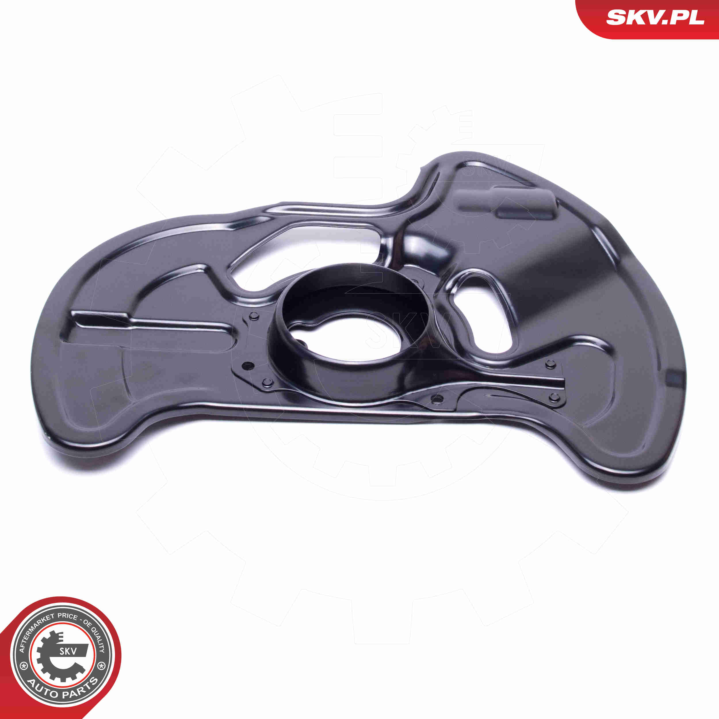 Splash Panel, brake disc - 57SKV187 ESEN SKV