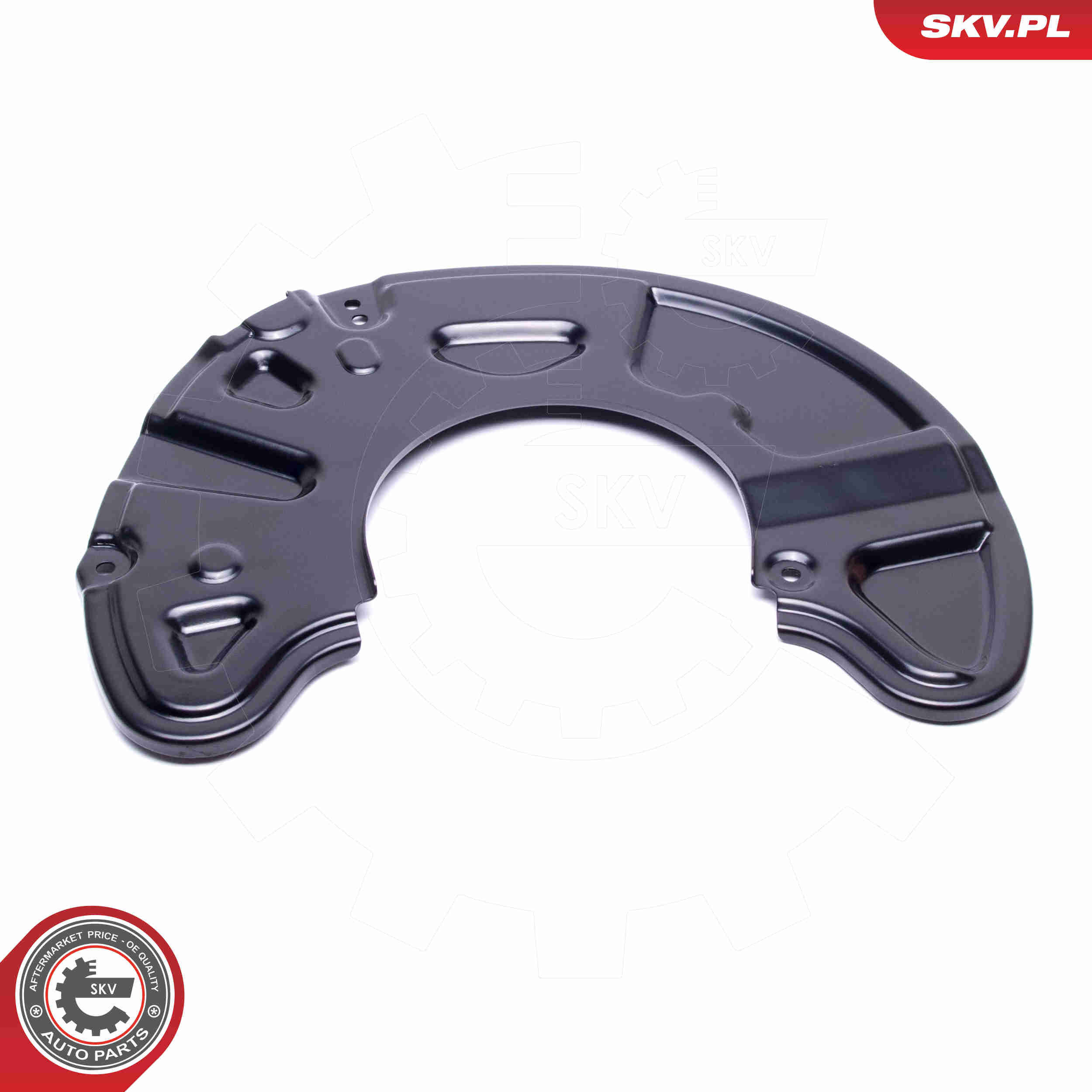 Splash Panel, brake disc - 57SKV188 ESEN SKV