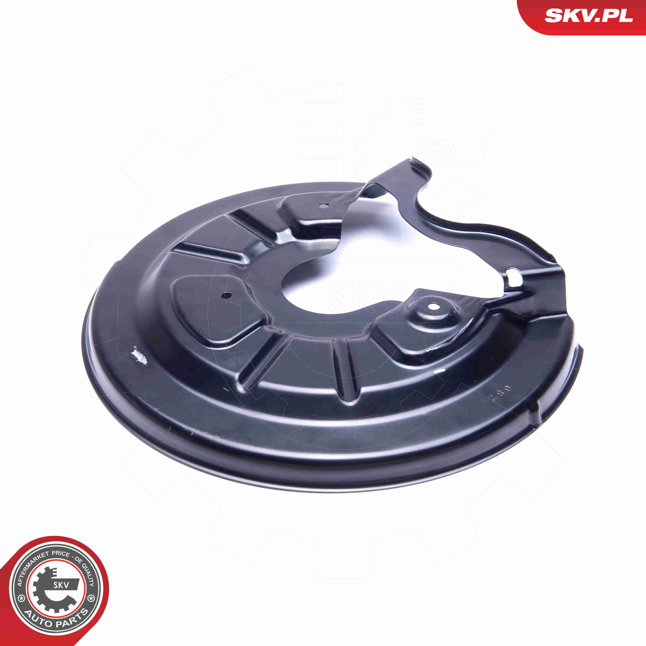 Splash Panel, brake disc - 57SKV616 ESEN SKV