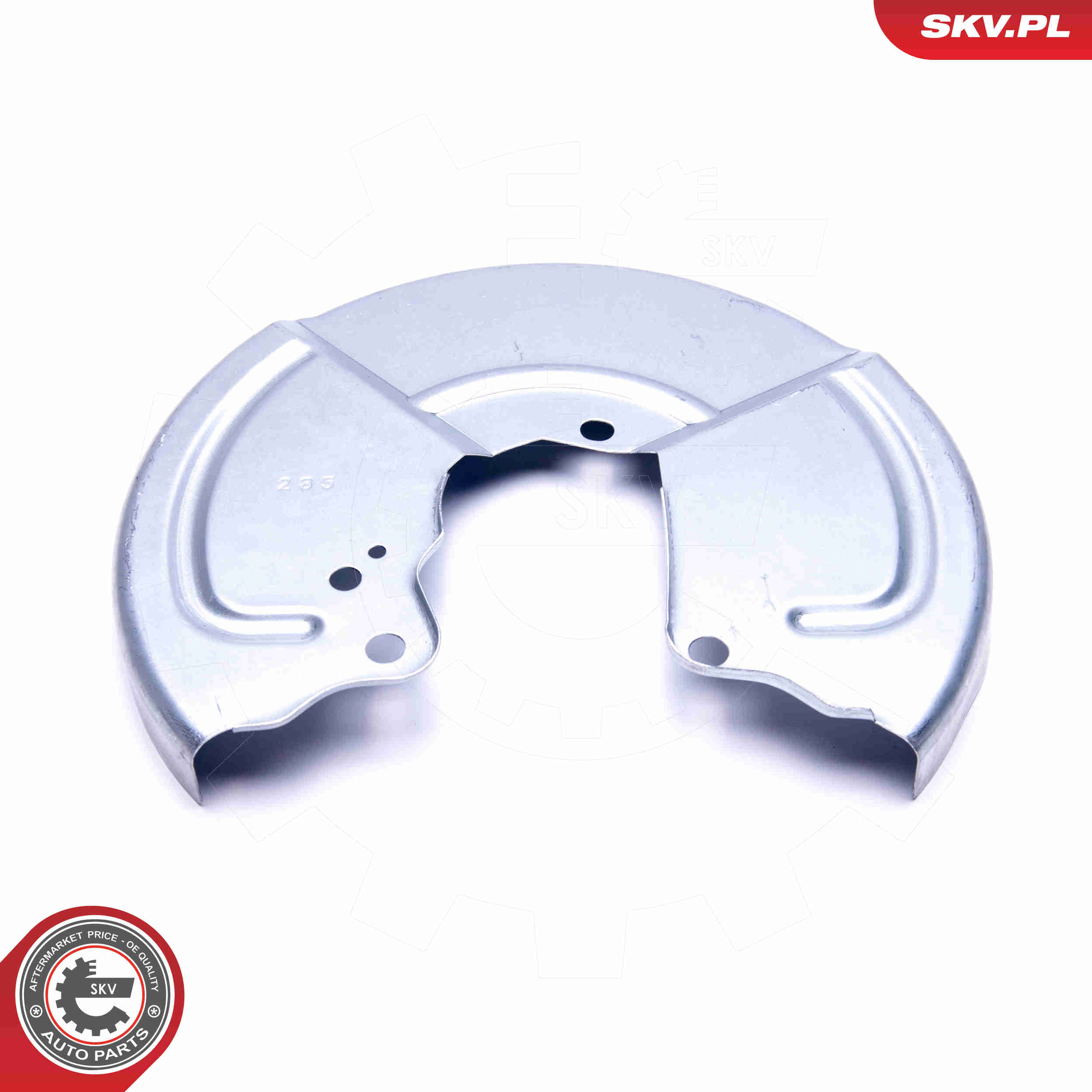 Splash Panel, brake disc - 57SKV664 ESEN SKV