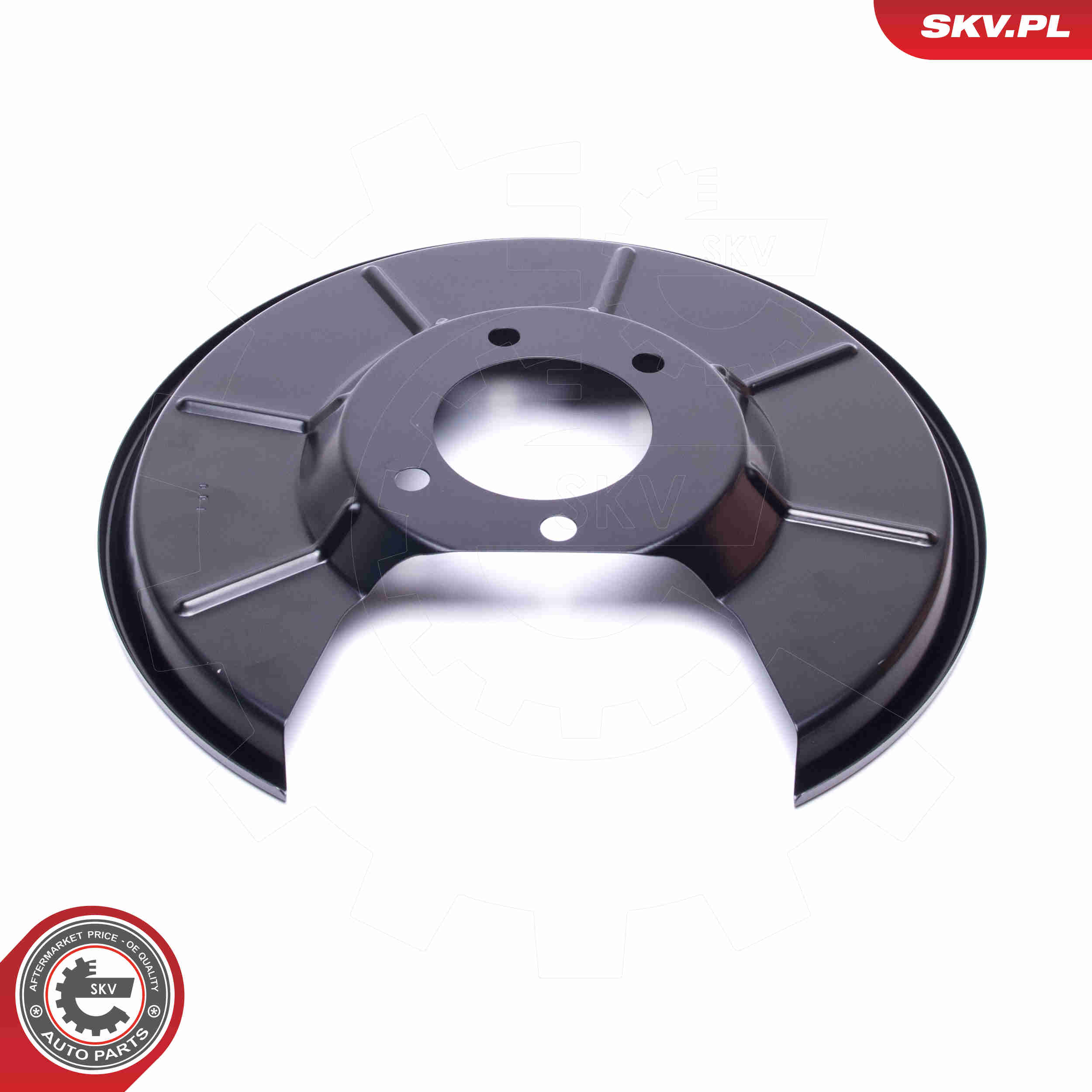 Splash Panel, brake disc - 57SKV687 ESEN SKV
