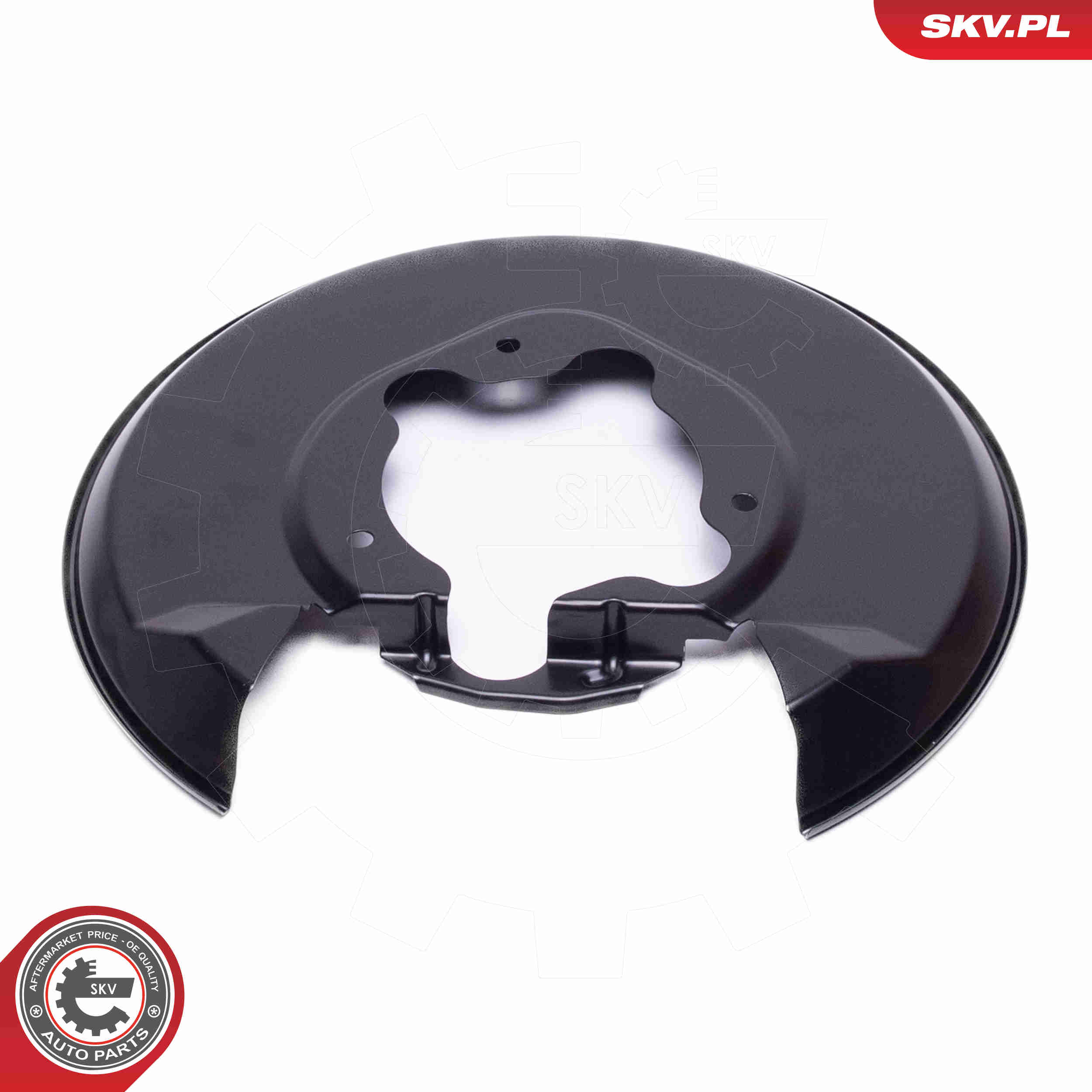 Splash Panel, brake disc - 57SKV764 ESEN SKV