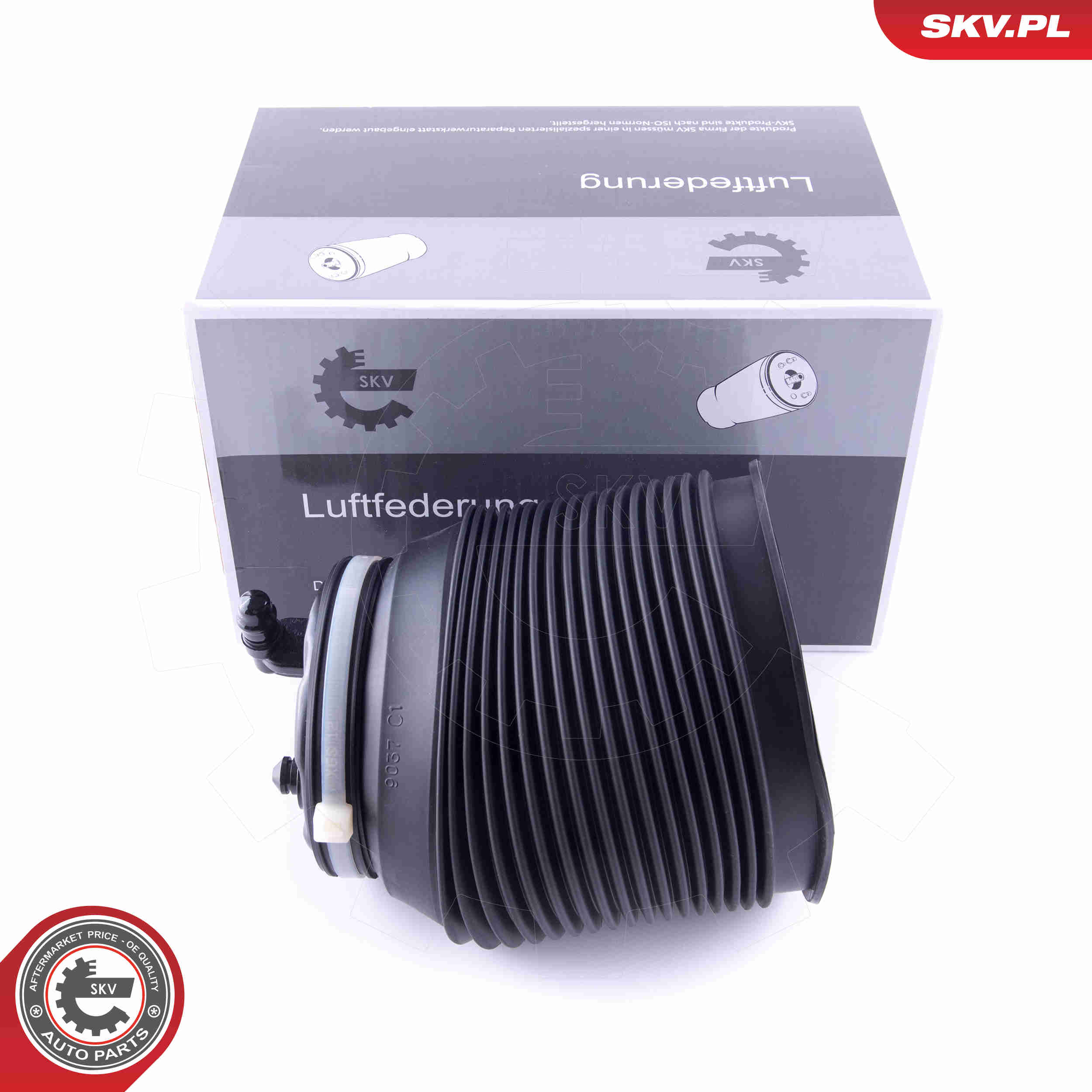 Molla pneumatica, Autotelaio - 58SKV005 ESEN SKV