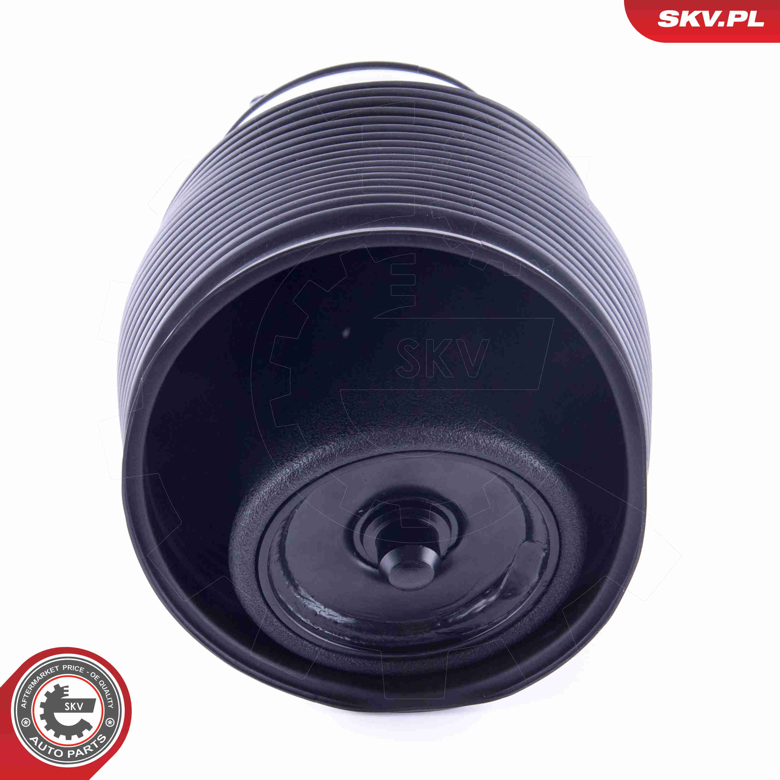 Molla pneumatica, Autotelaio - 58SKV006 ESEN SKV