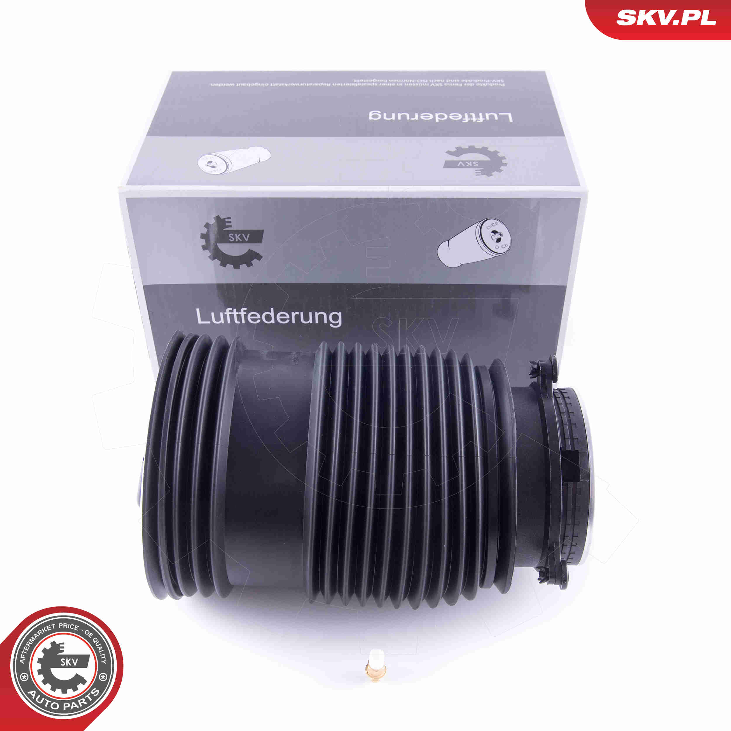 Molla pneumatica, Autotelaio - 58SKV008 ESEN SKV