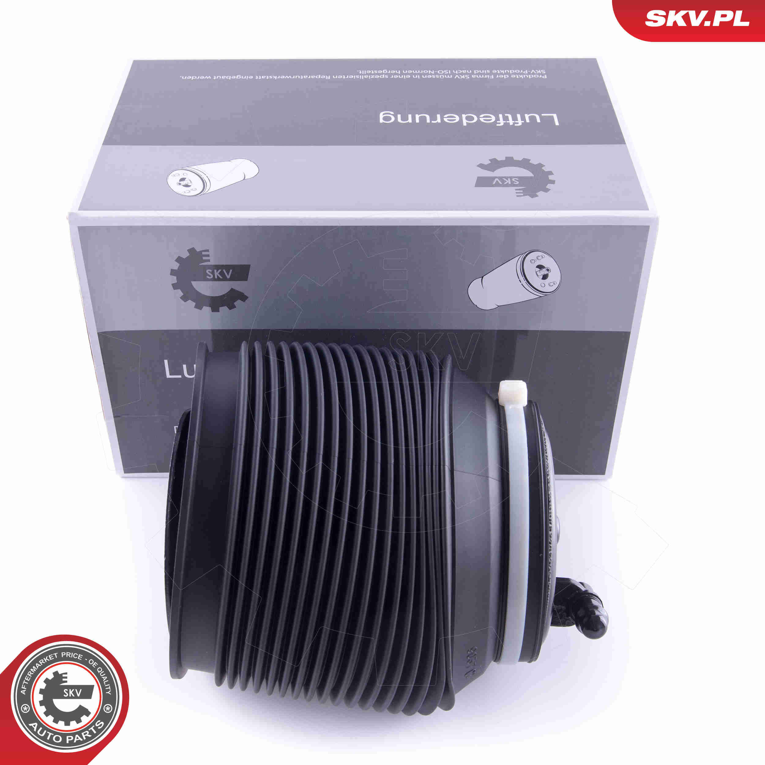 Molla pneumatica, Autotelaio - 58SKV009 ESEN SKV