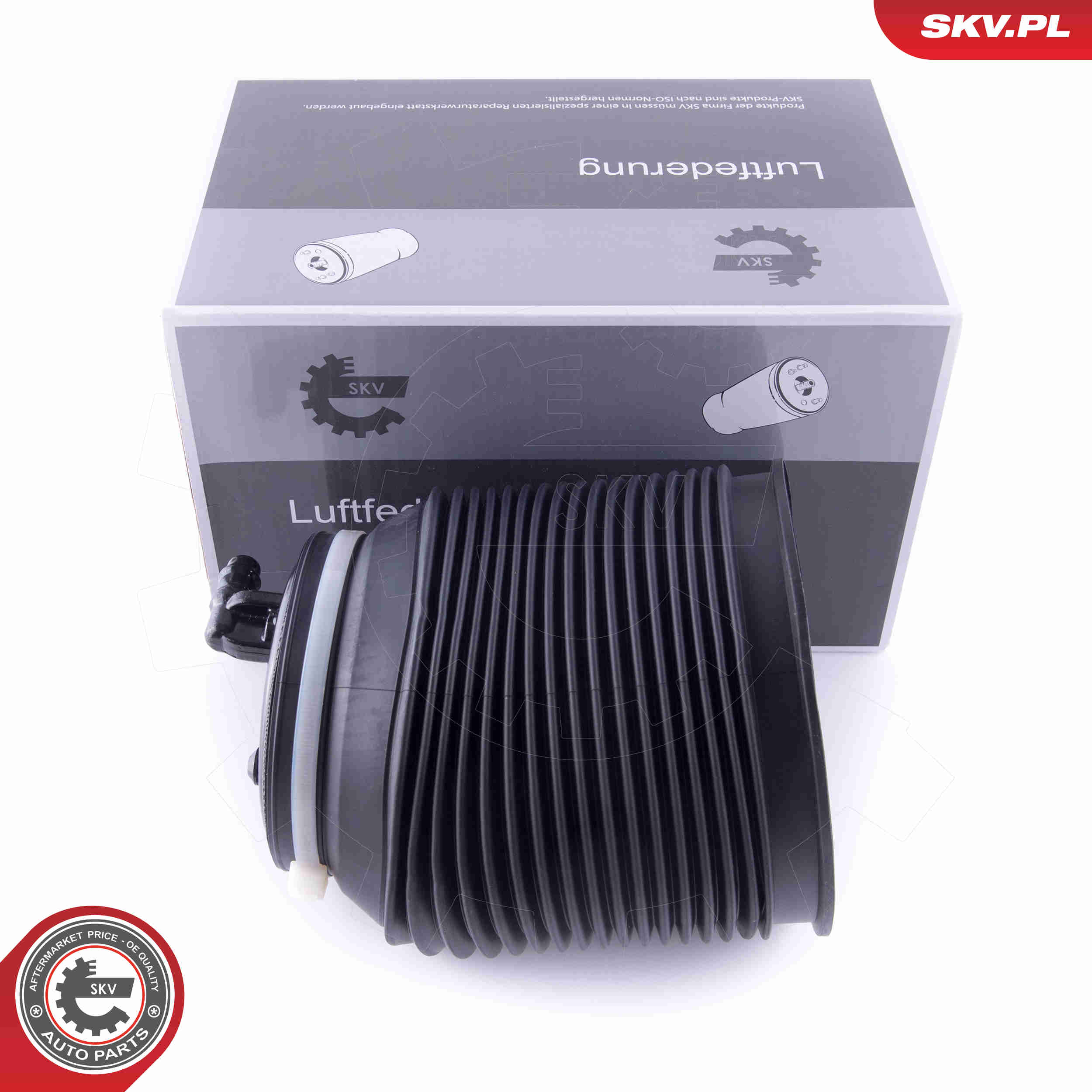 Molla pneumatica, Autotelaio - 58SKV010 ESEN SKV